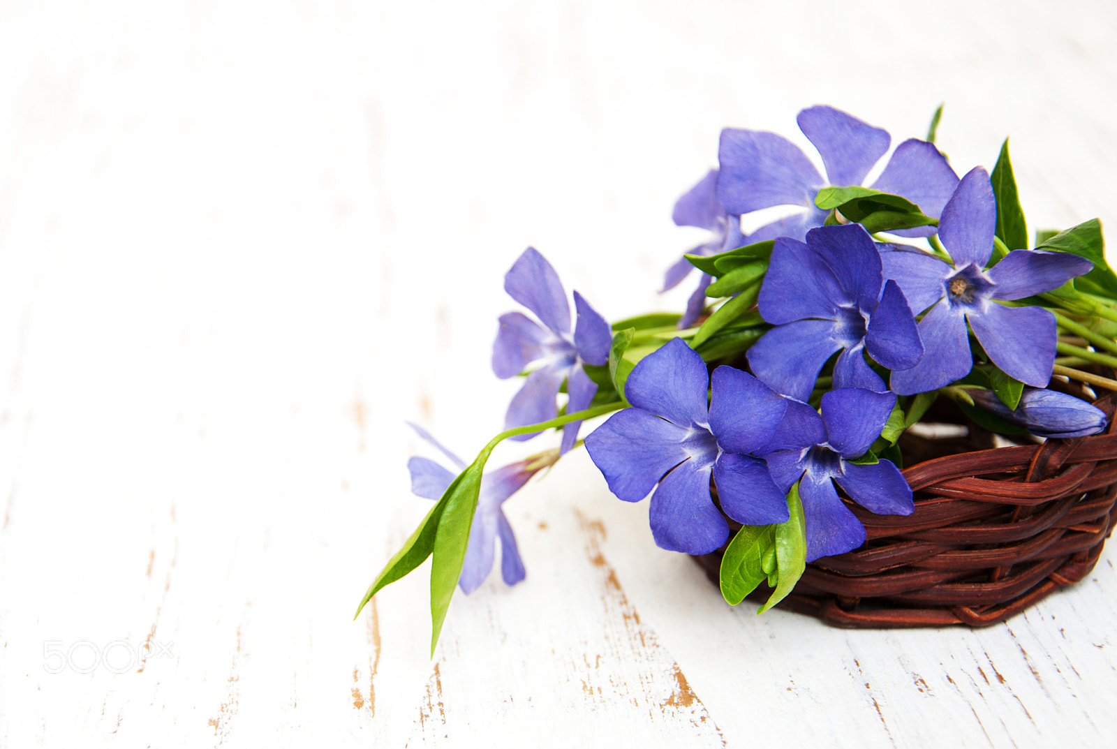 Nikon D90 sample photo. Periwinkle in a basket photography