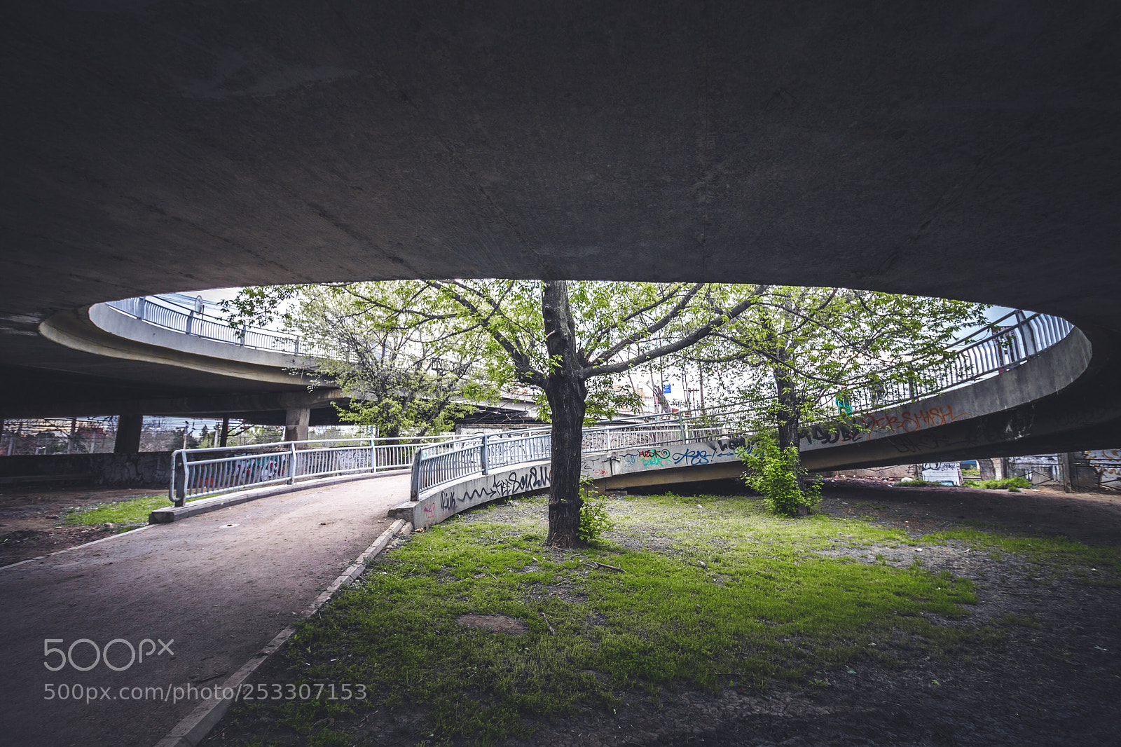 Canon EOS 80D sample photo. Projects: brutalism and nature photography