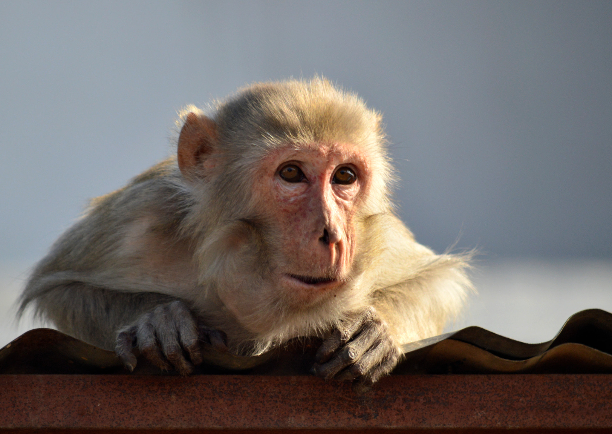 Nikon D3200 sample photo
