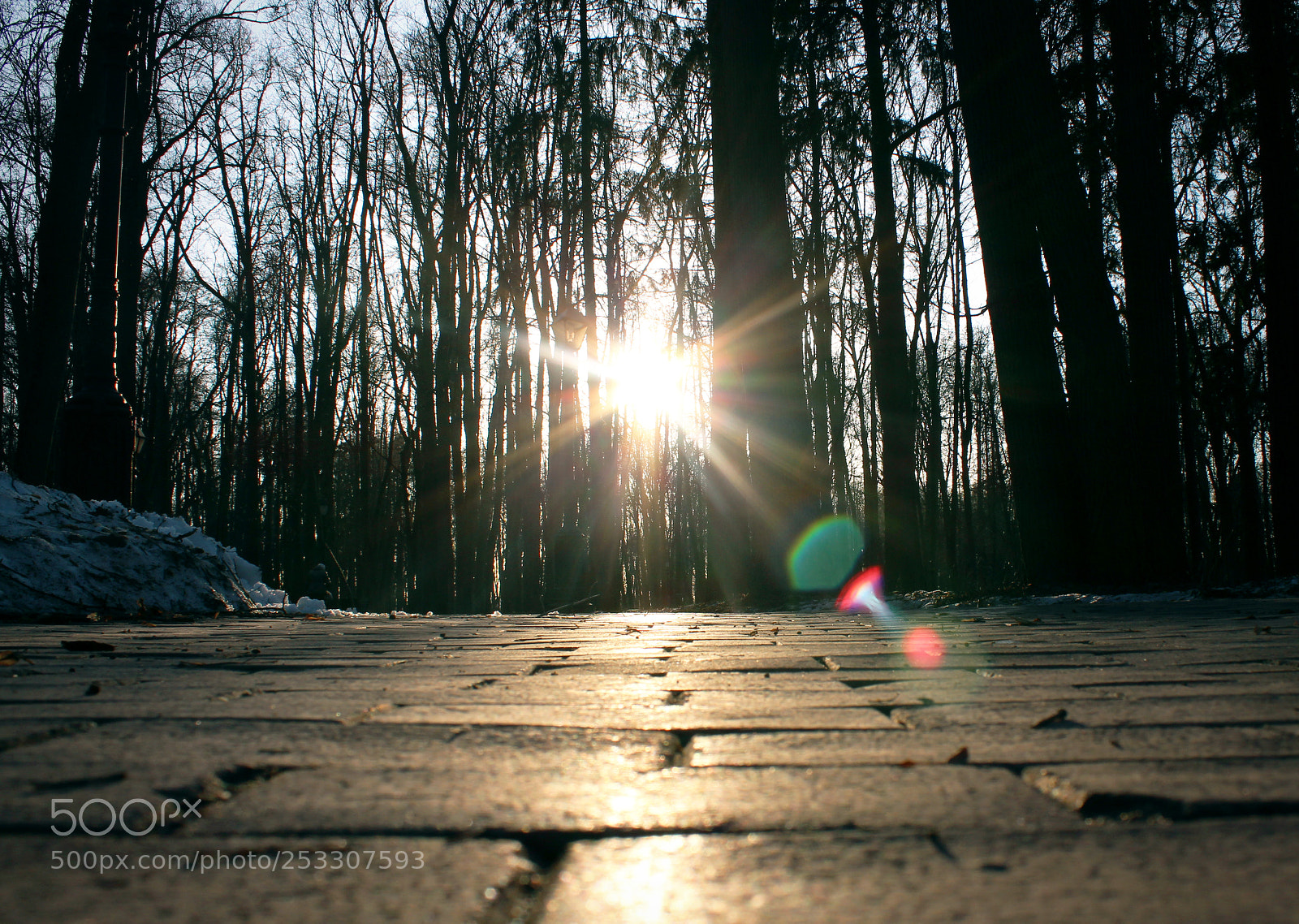 Canon EOS 650D (EOS Rebel T4i / EOS Kiss X6i) sample photo. Sunset photography