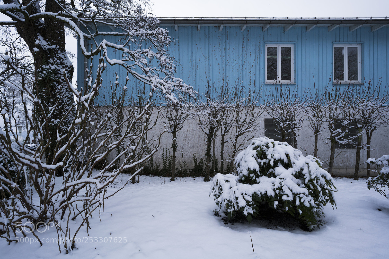 Sony a7R III sample photo. Blue photography