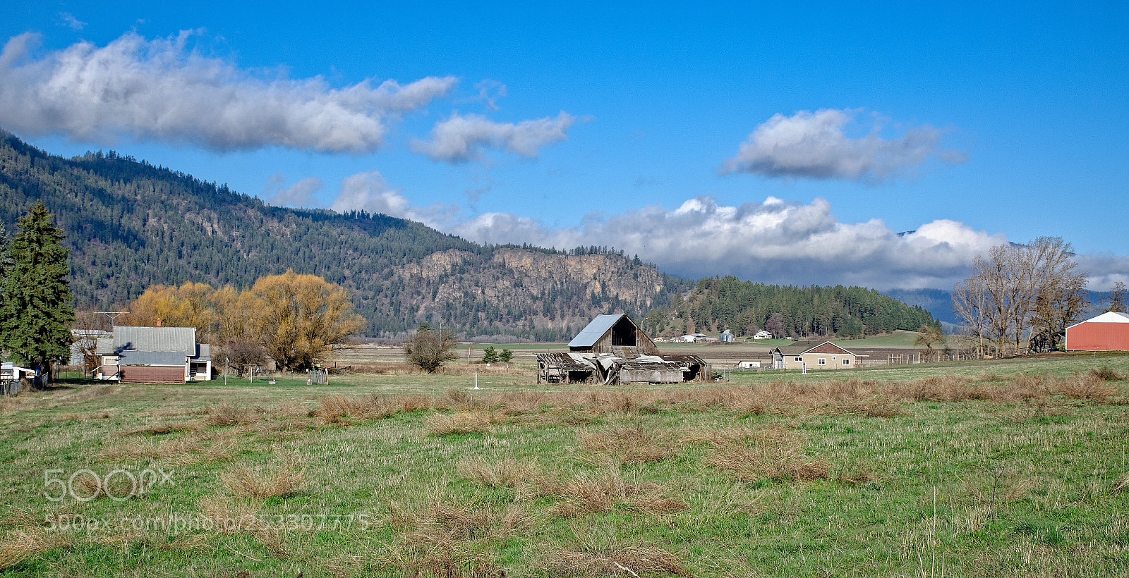 Nikon D7000 sample photo. Valley spring greens! photography