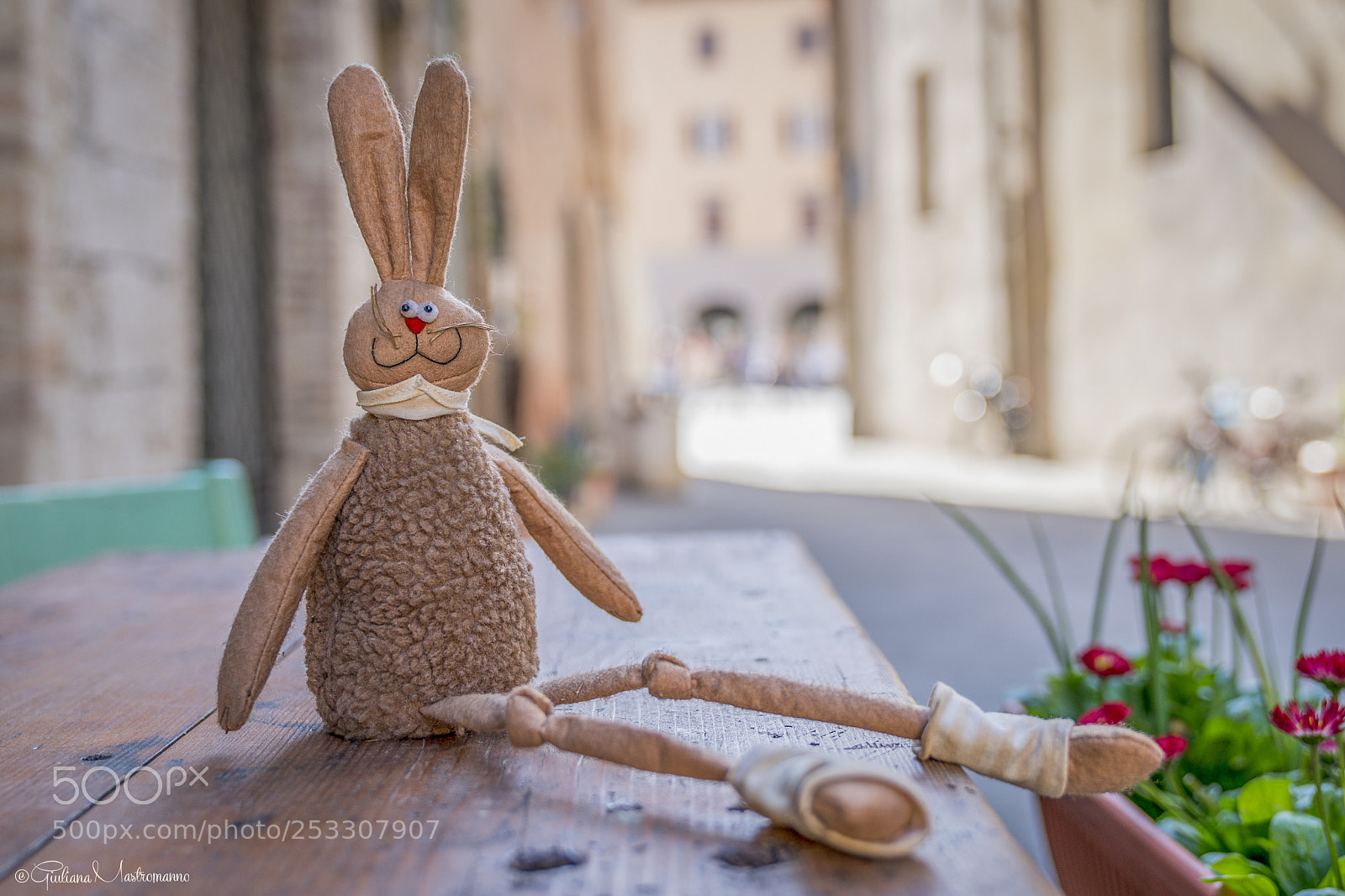 Sony a7R II sample photo. A new friend photography