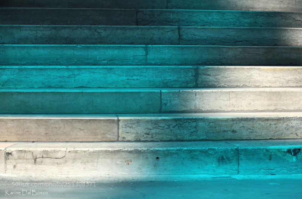 Canon EOS 5D Mark II sample photo. Blue light photography