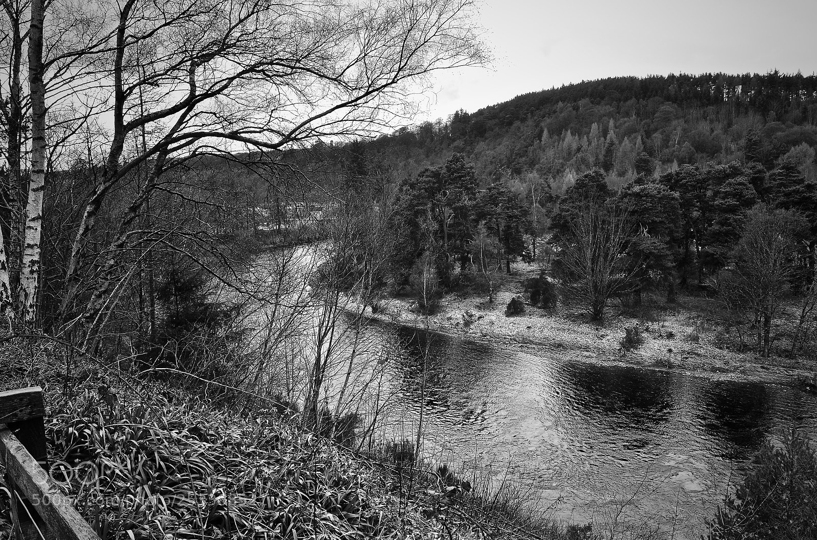 Nikon D7000 sample photo. Speyside photography