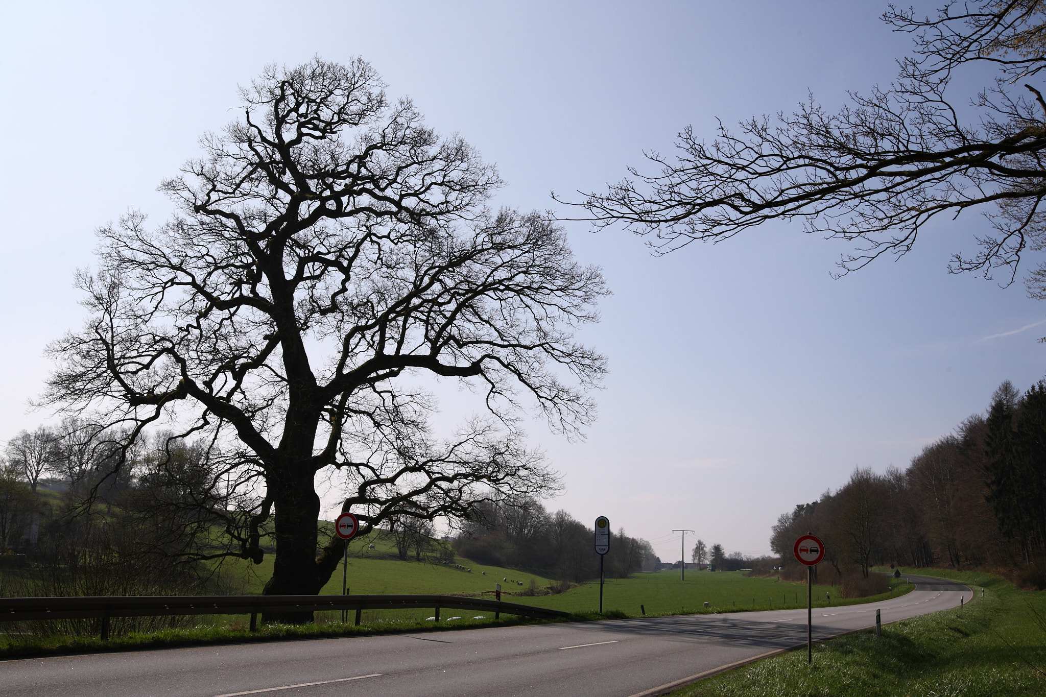 Canon EOS 5D sample photo. Country road photography