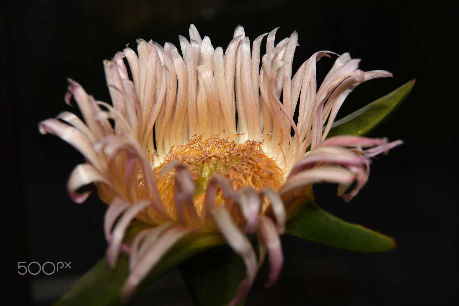 Nikon D7500 sample photo. St photography