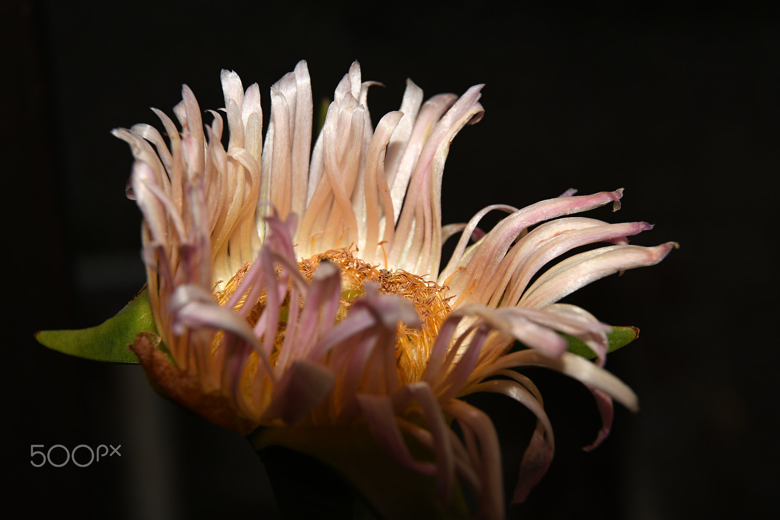 Nikon D7500 sample photo. St photography