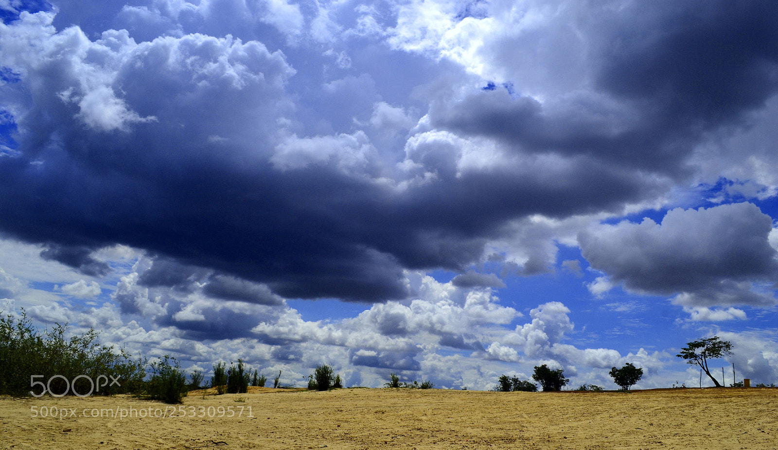 Nikon D3100 sample photo. 1234.jpg photography