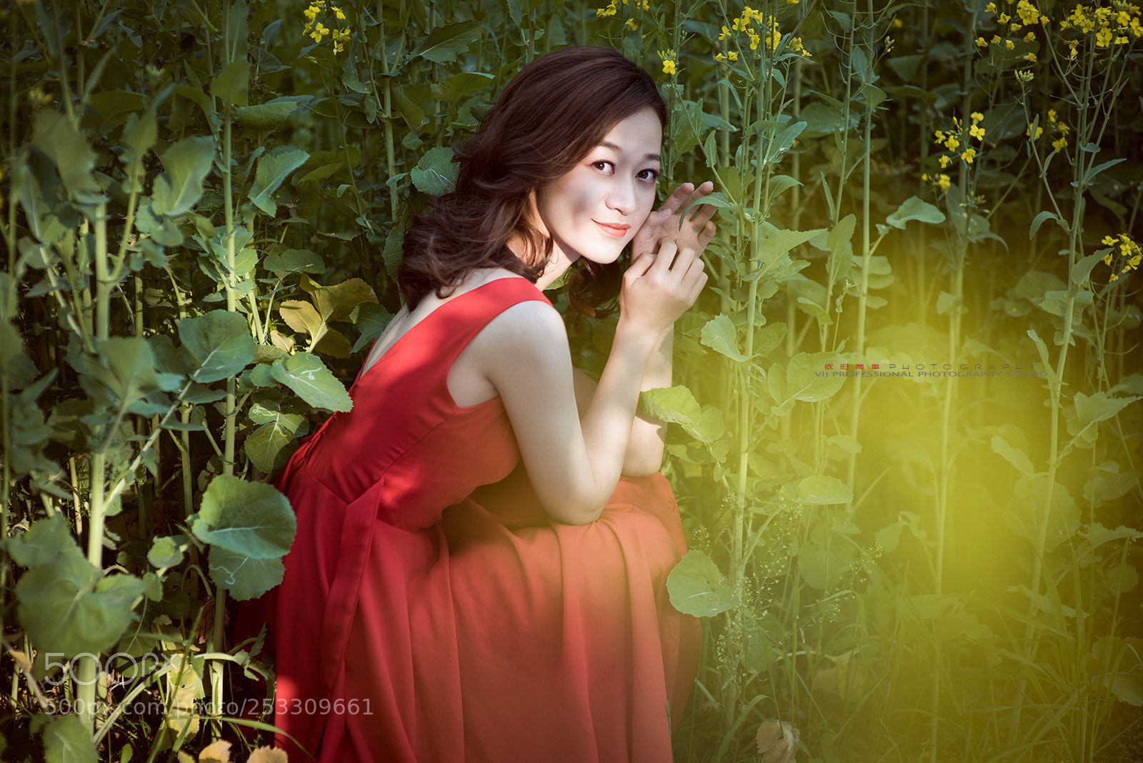 Nikon D810 sample photo. Zang photography