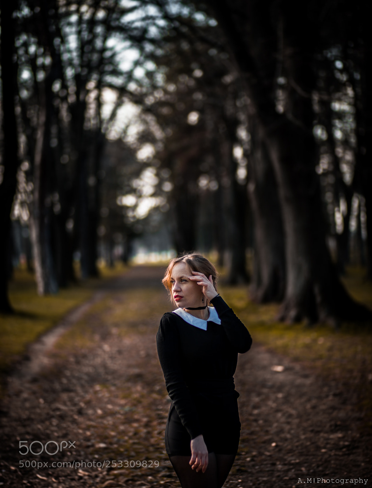 Canon EOS 5D Mark II sample photo. Black colady iv photography