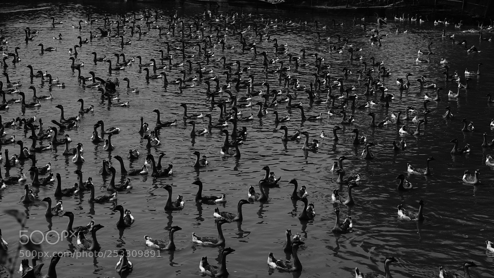 Sony a6000 sample photo. Dsc photography