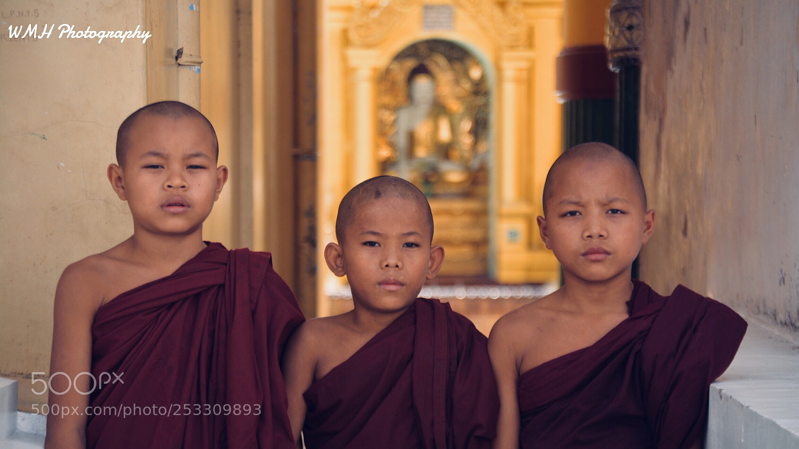 Nikon D7100 sample photo. Monk photography
