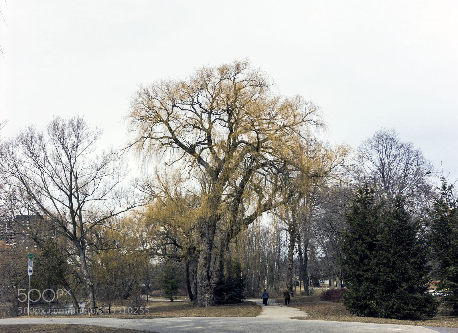 Canon EOS 550D (EOS Rebel T2i / EOS Kiss X4) sample photo. Marie curtis park photography