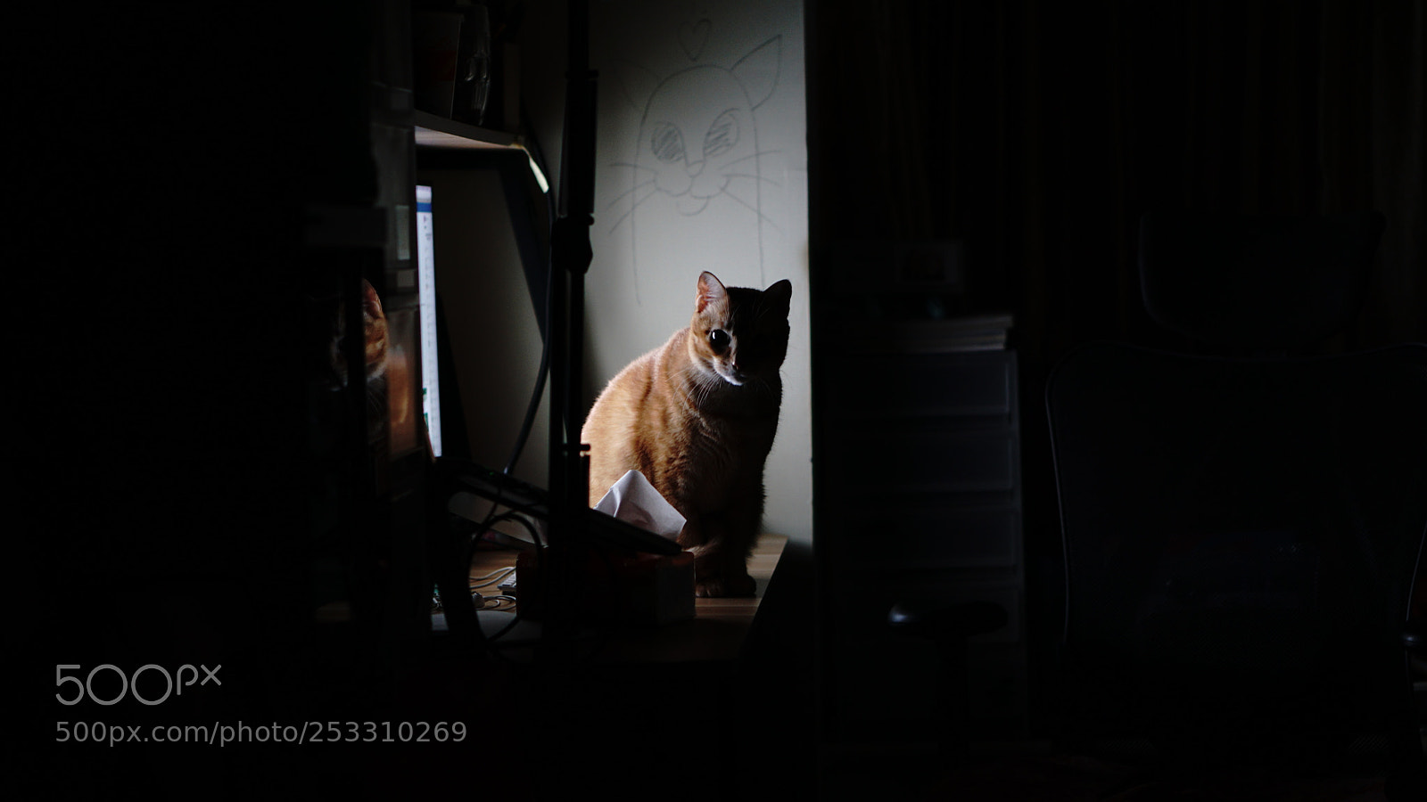 Sony a6000 sample photo. Dsc photography