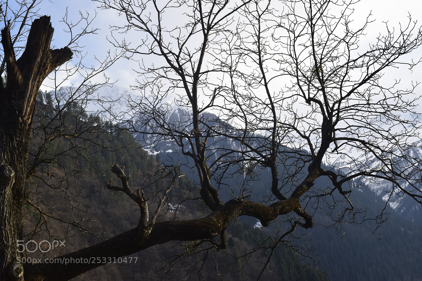 Nikon D5300 sample photo. Wild. photography