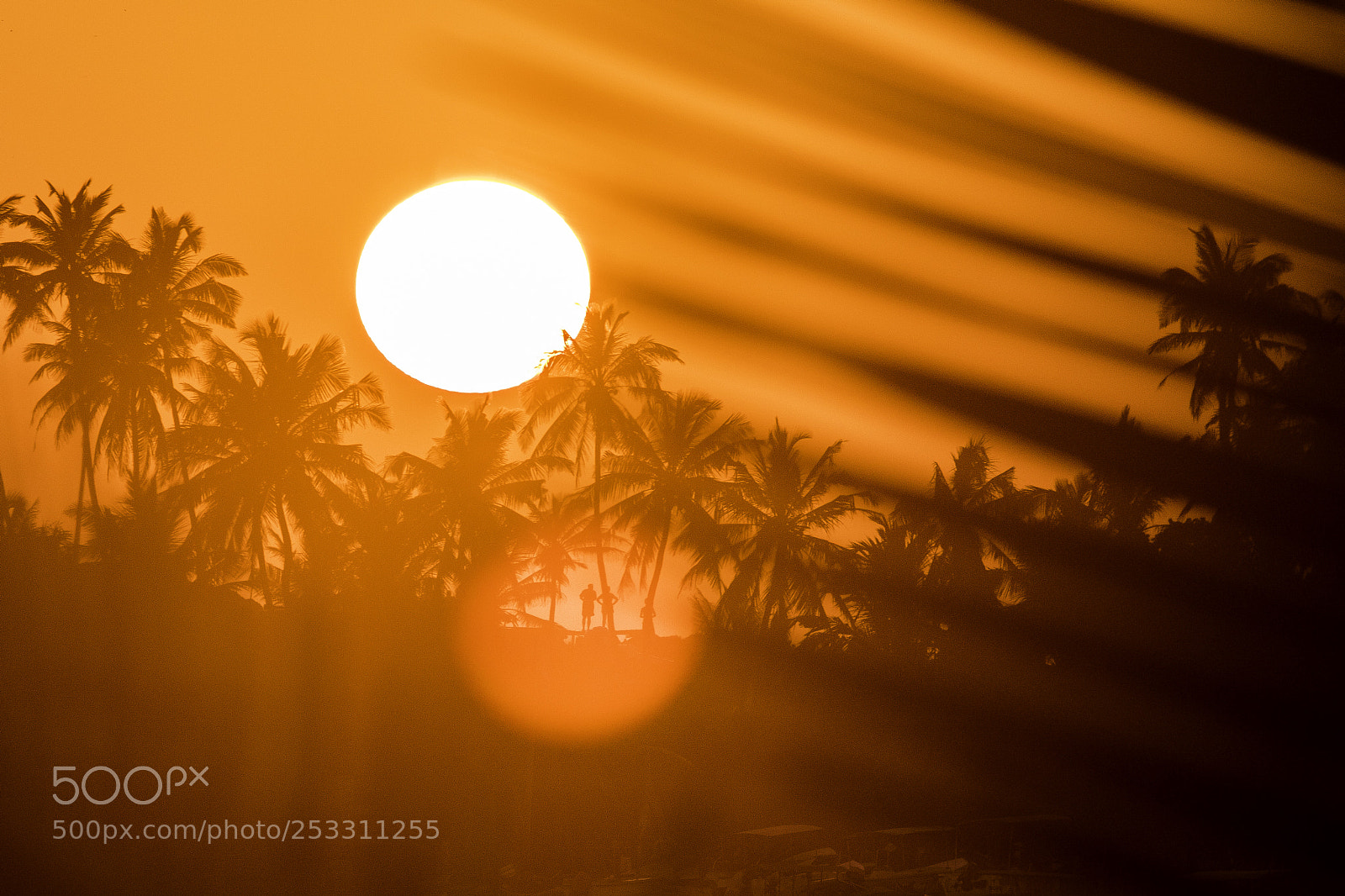 Canon EOS 7D Mark II sample photo. Palmtree sunset photography