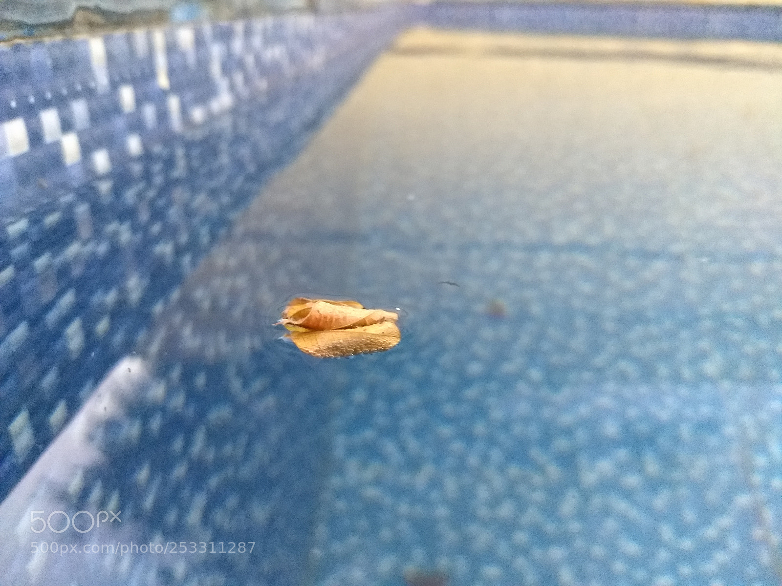 Motorola Moto G (5) Plus sample photo. Untitled photography
