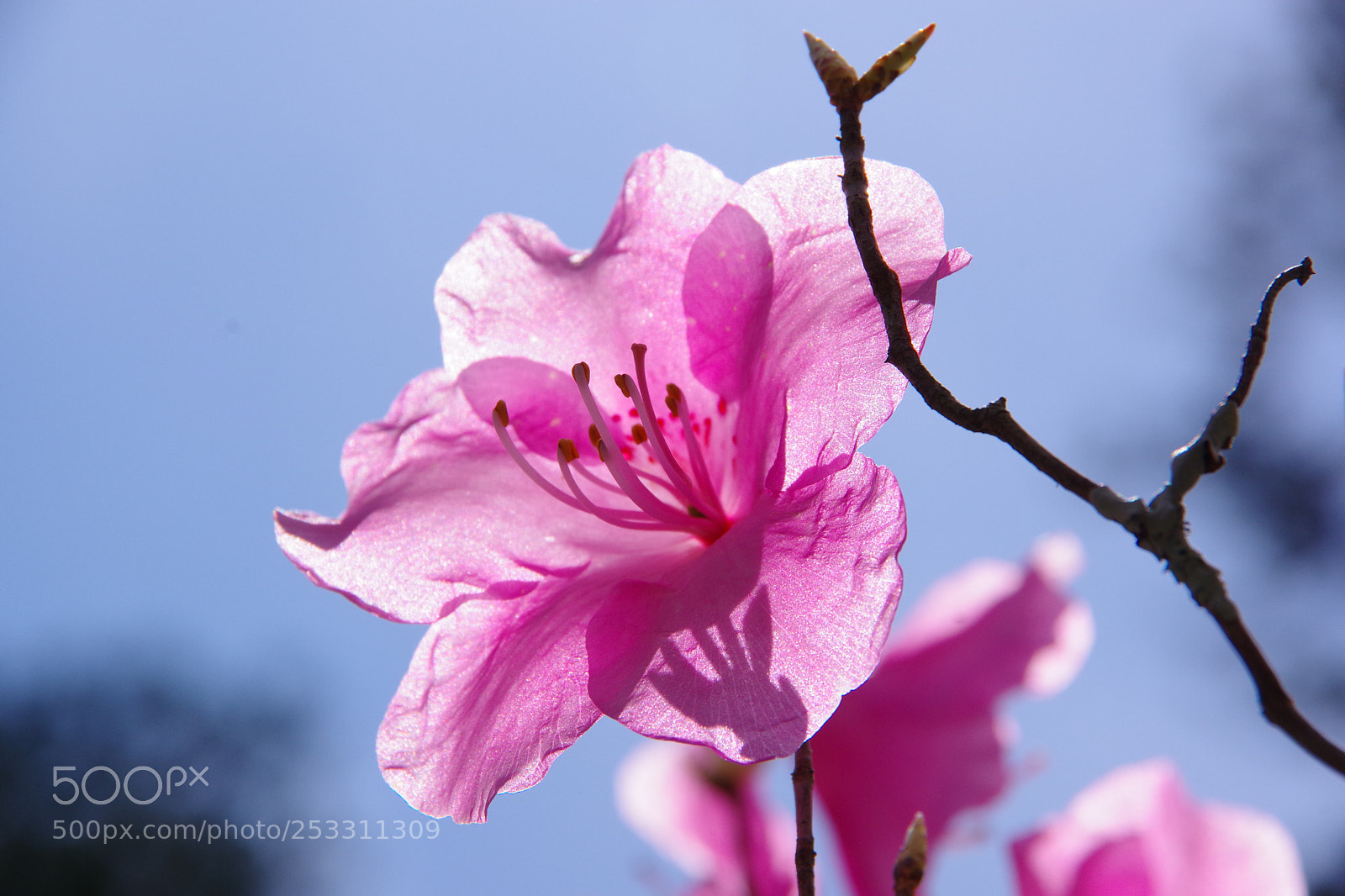 Pentax K-70 sample photo. Untitled photography