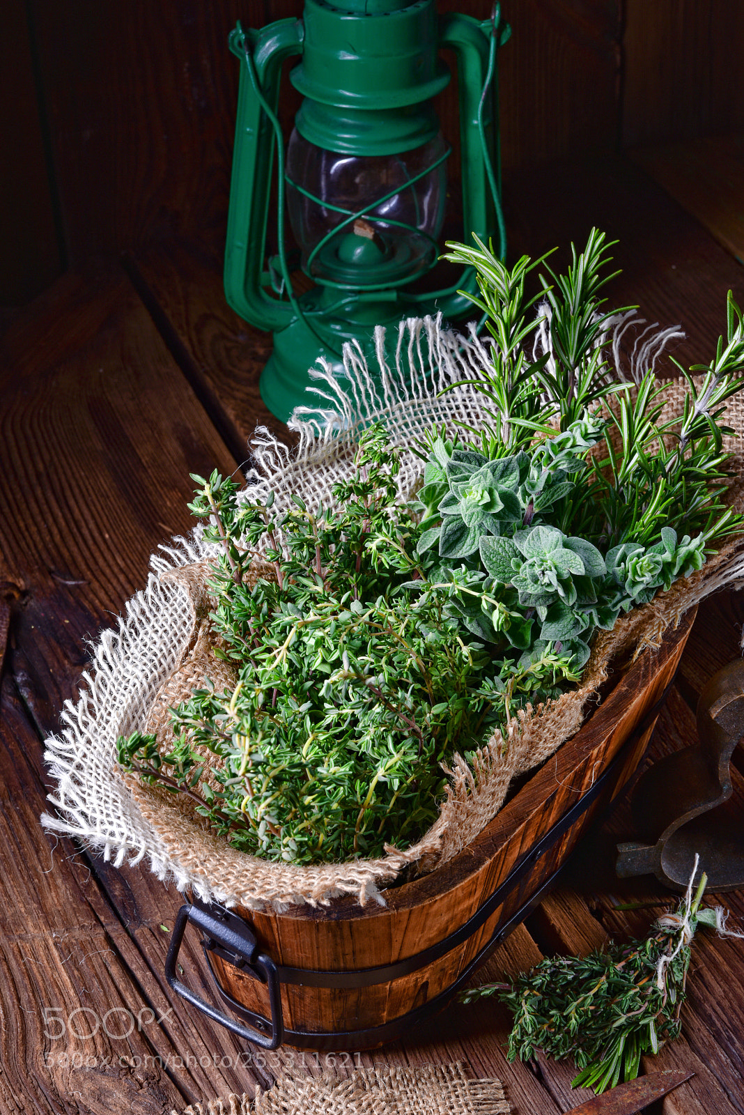 Nikon D810 sample photo. Herbal collection of thyme,oregano photography