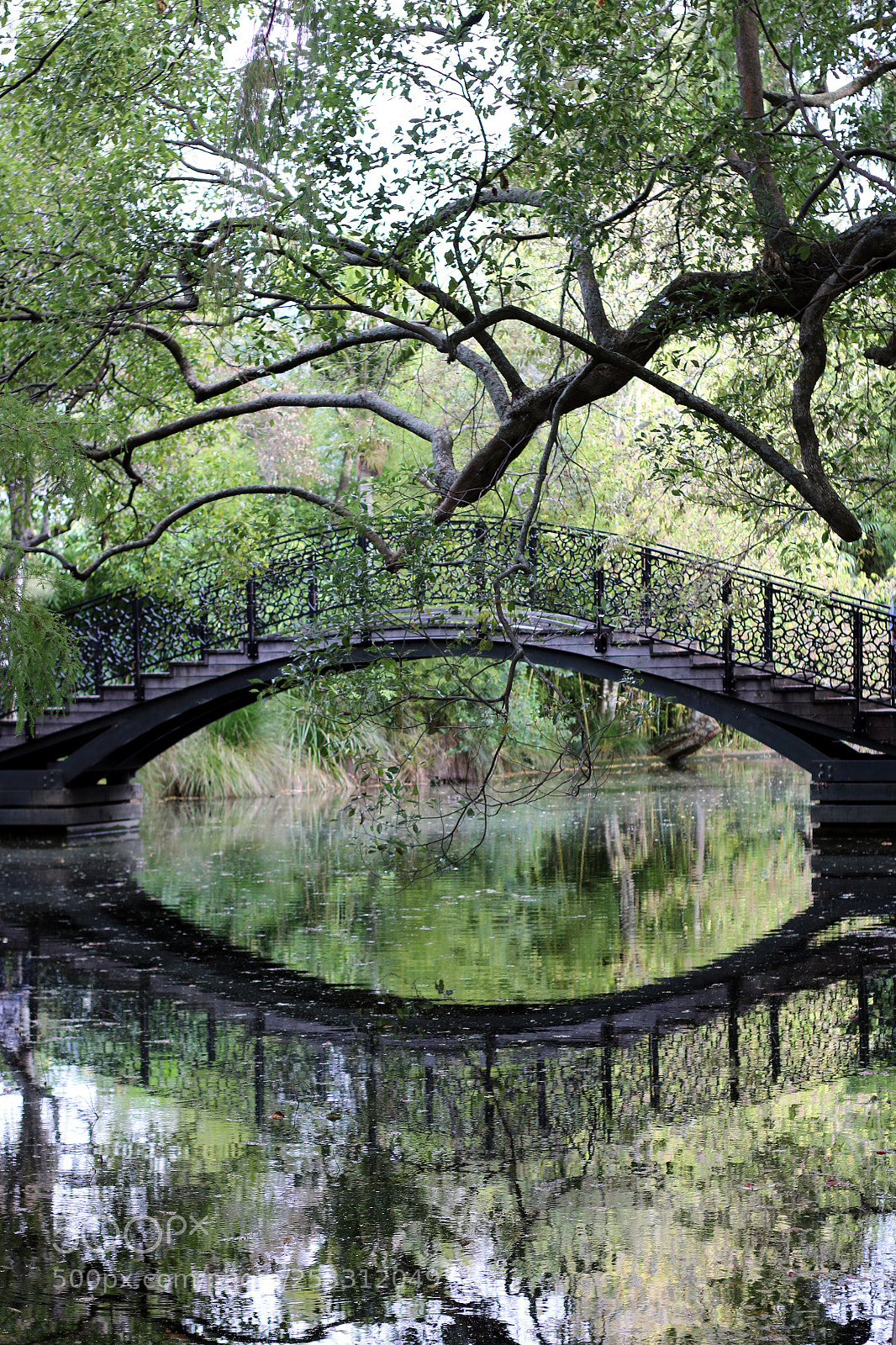 Canon EOS 70D sample photo. Bridge photography