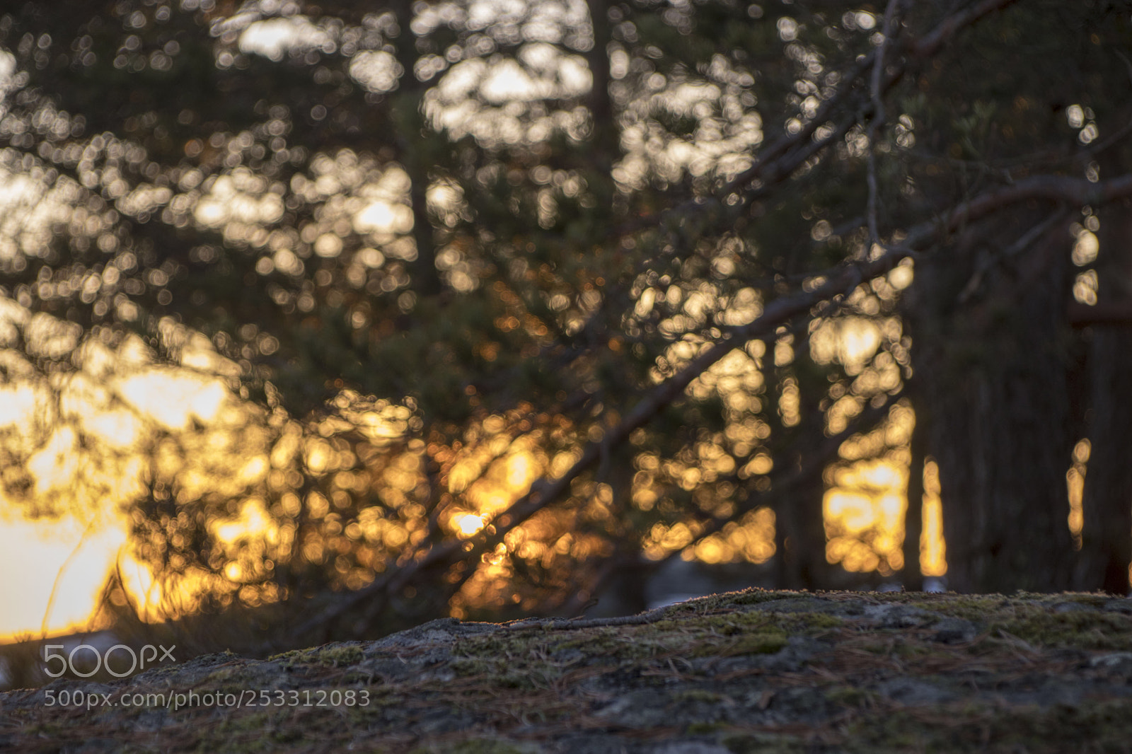 Canon EOS 80D sample photo. Sunrise photography