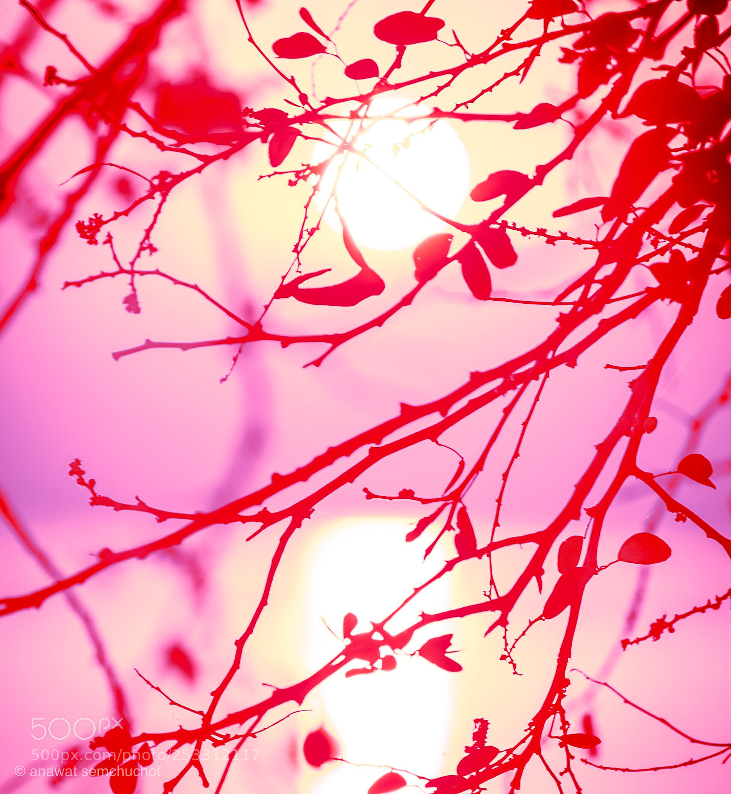 Nikon D800 sample photo. Untitled photography
