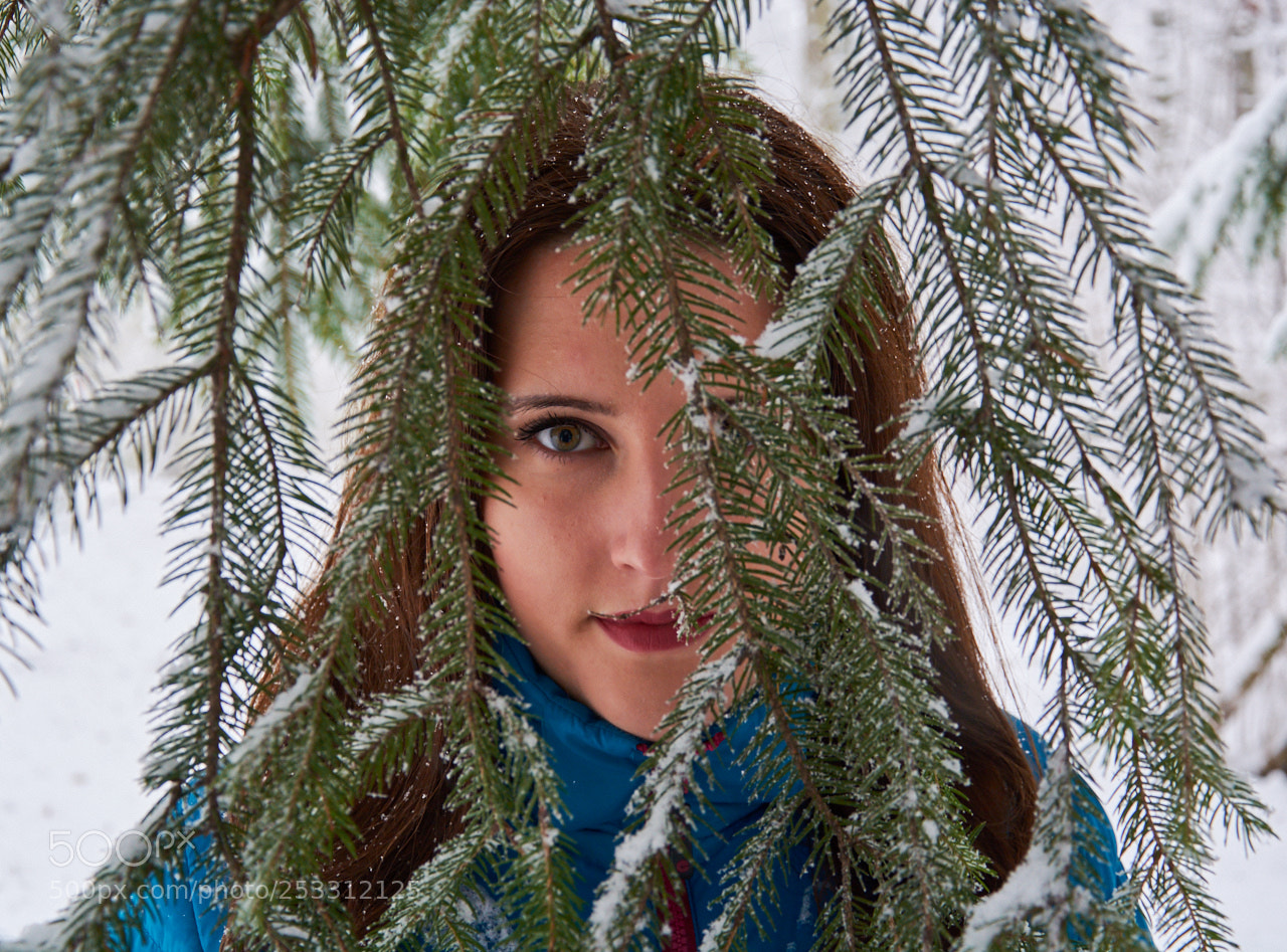 Nikon D7100 sample photo. Winter memories photography