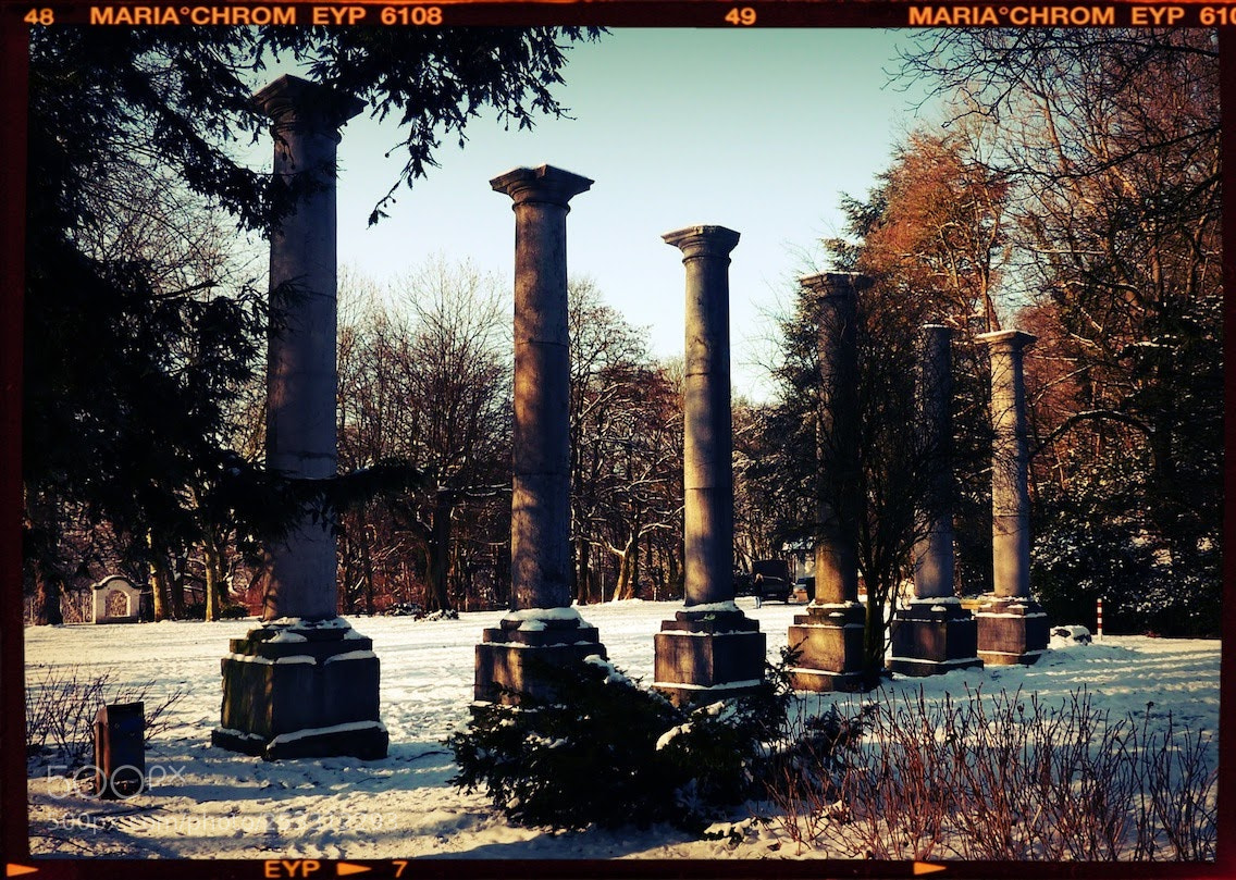 Panasonic DMC-TZ7 sample photo. Untitled photography
