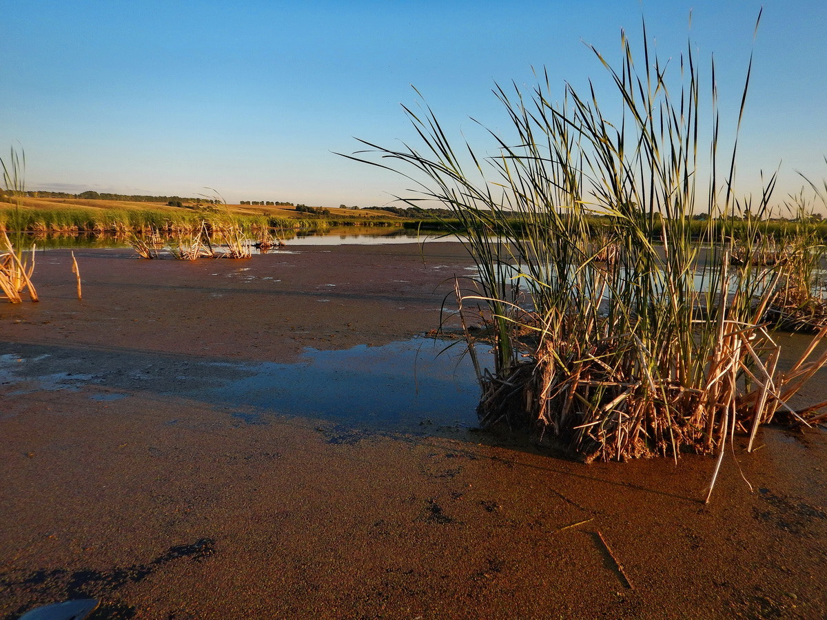 Nikon Coolpix AW120 sample photo. Russia. the south of western siberia photography