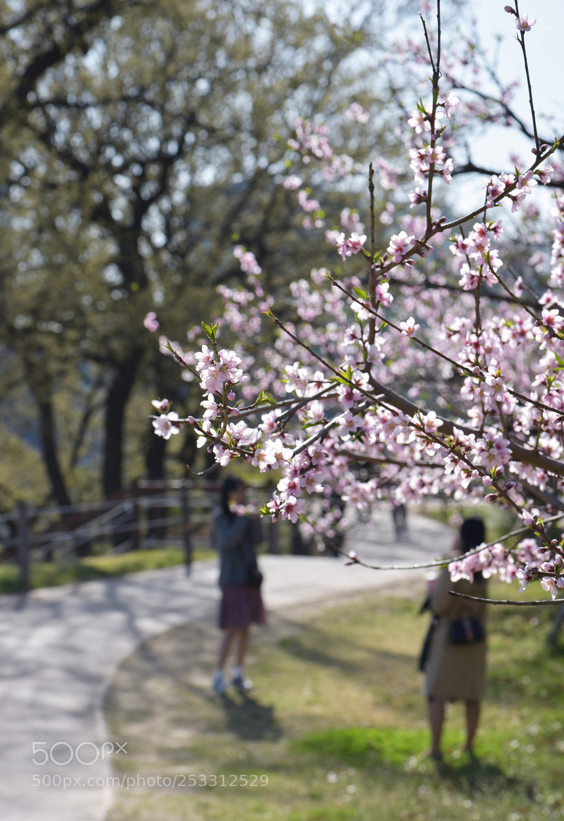 Nikon D810 sample photo. Untitled photography