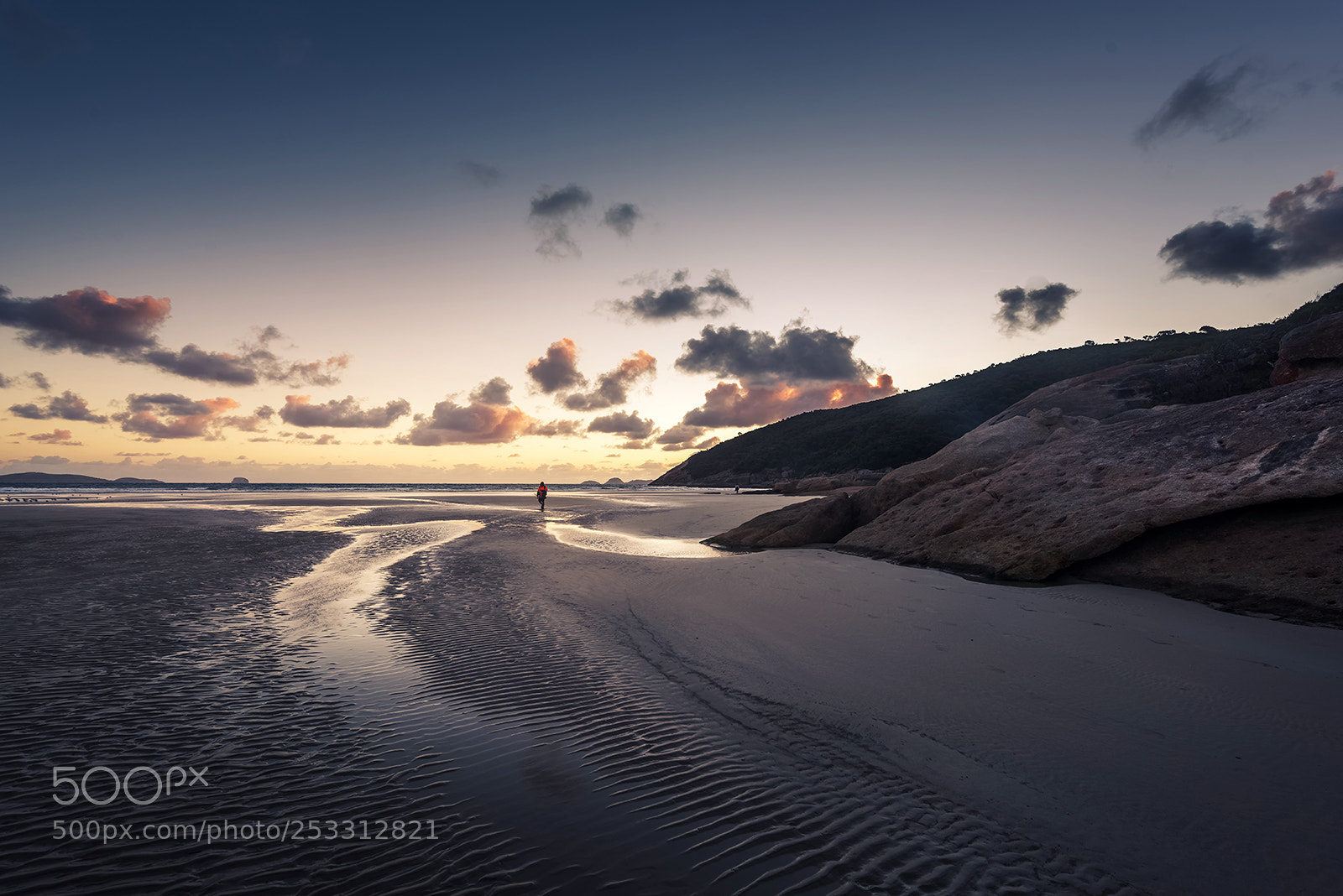 Nikon D810 sample photo. Norman beach photography