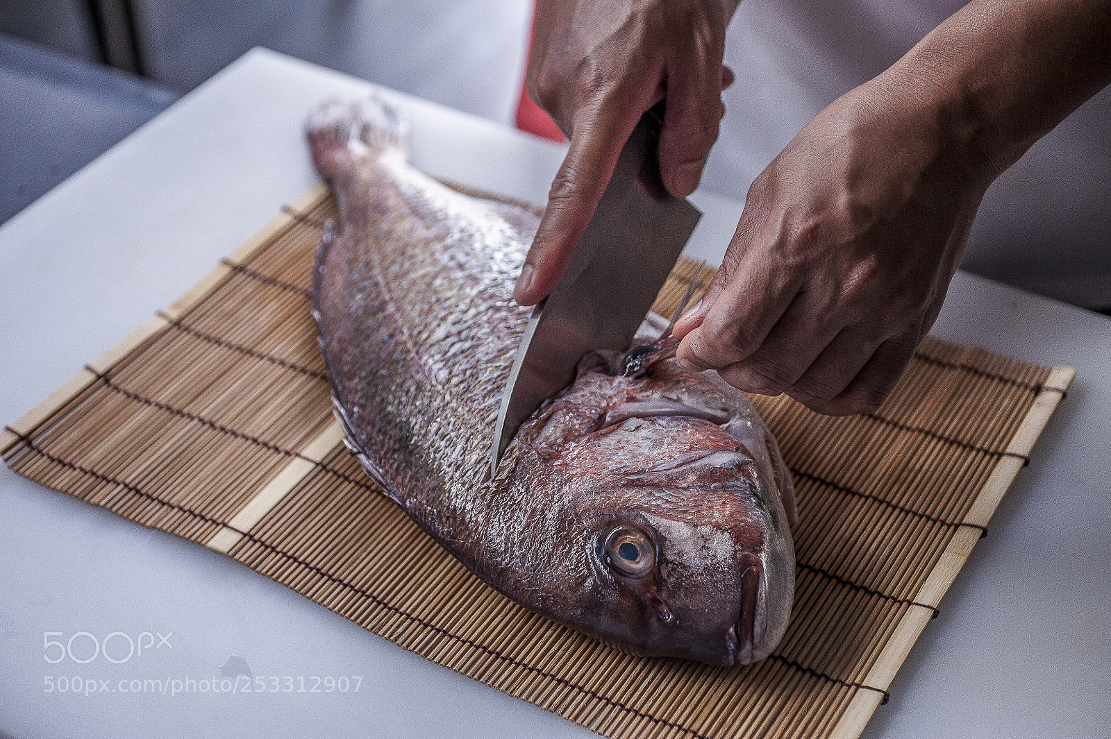 Nikon D700 sample photo. Cut head fish photography