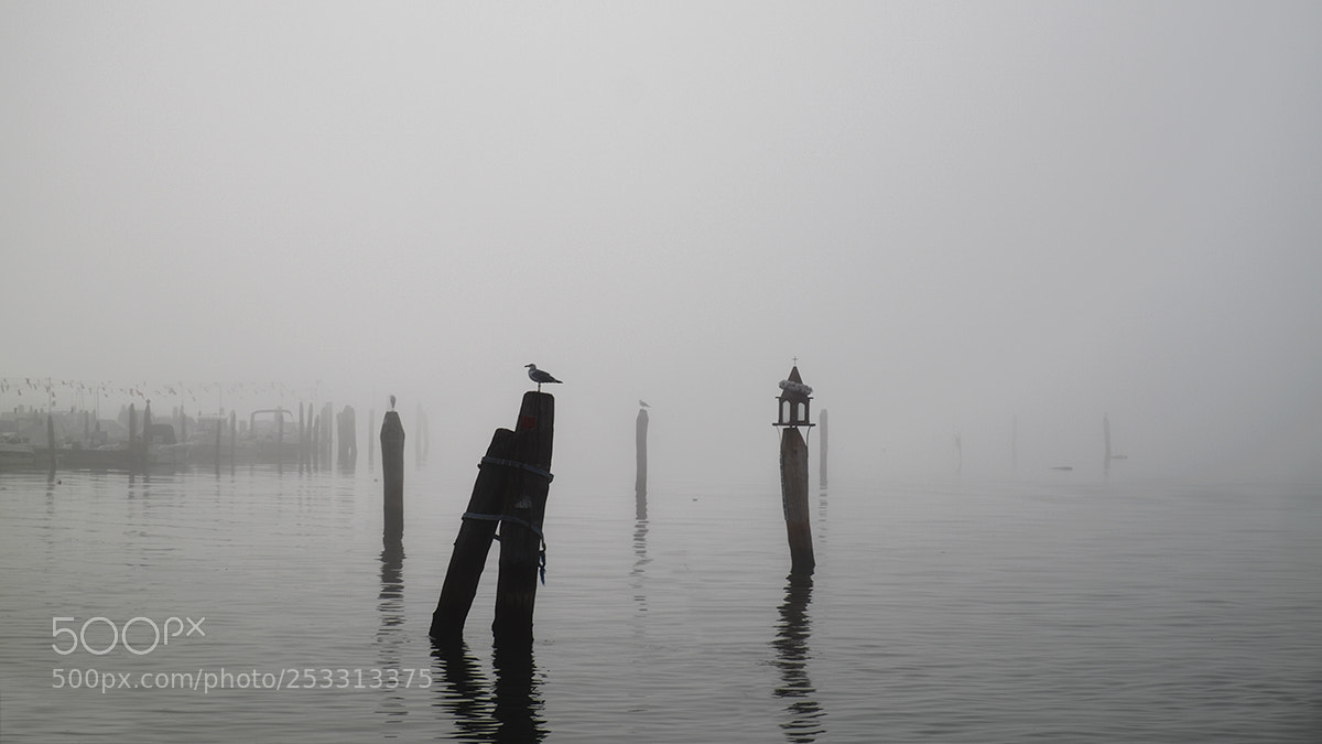 Fujifilm X-T1 sample photo. Nebbia un laguna photography