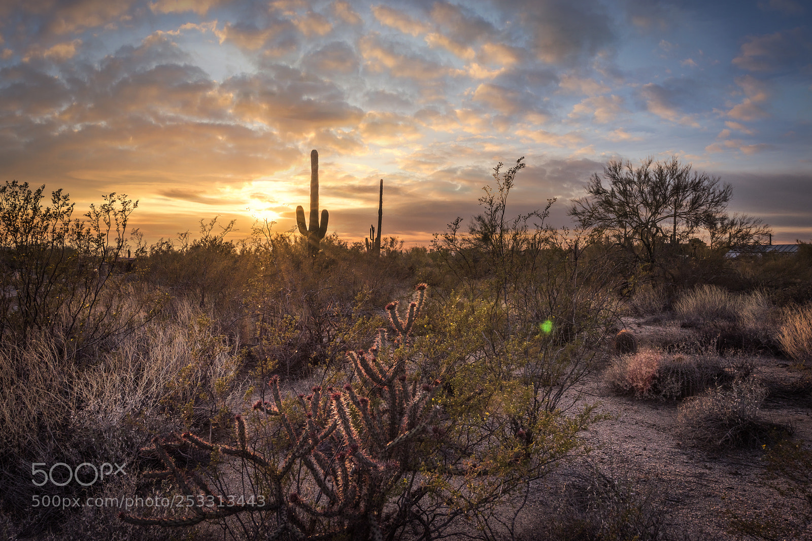 Nikon D810 sample photo. Sunset on the desert photography