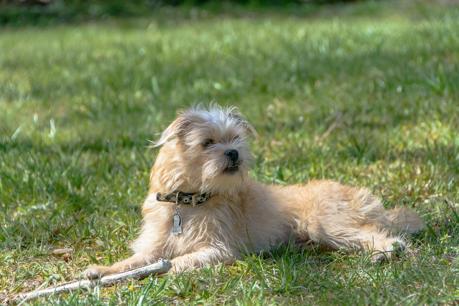 Nikon D7100 sample photo. Sticks, sticks, always with photography