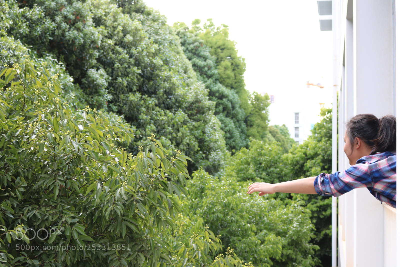 Canon EOS 750D (EOS Rebel T6i / EOS Kiss X8i) sample photo. Summertime photography