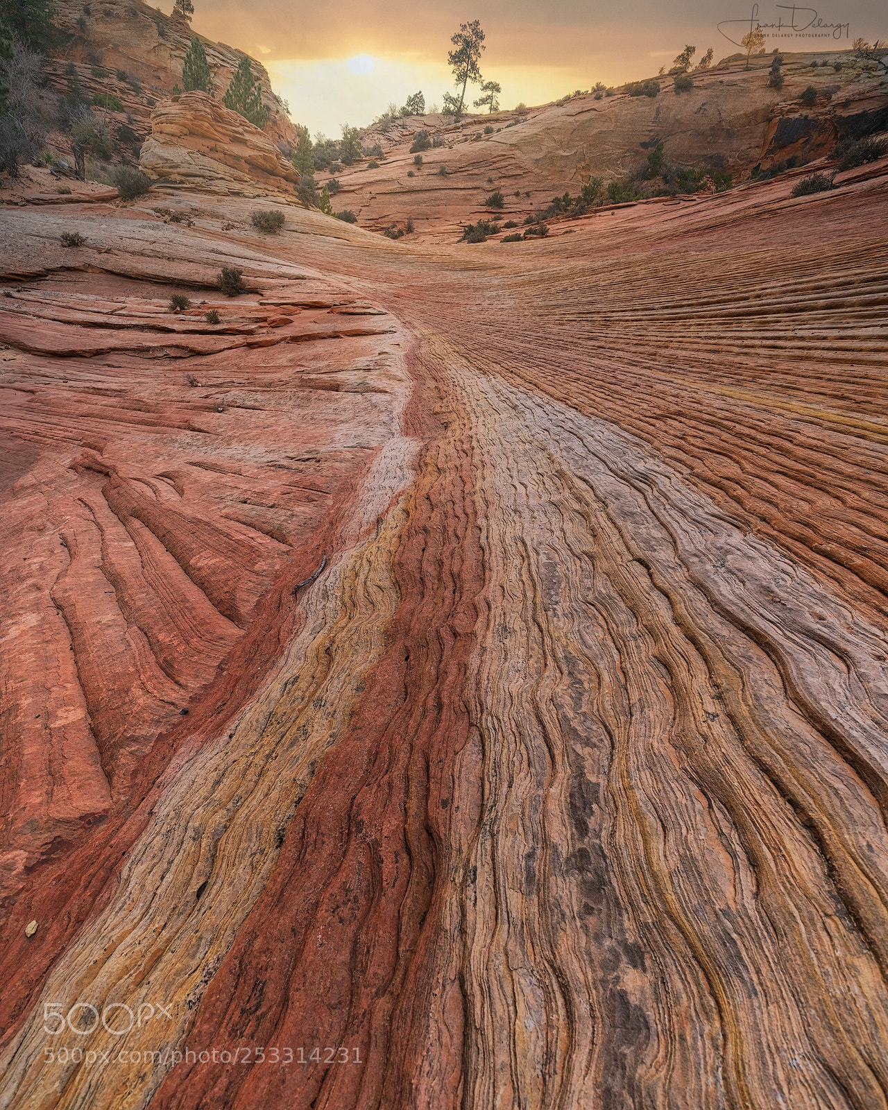 Sony a7R II sample photo. Sliprock rocks! photography