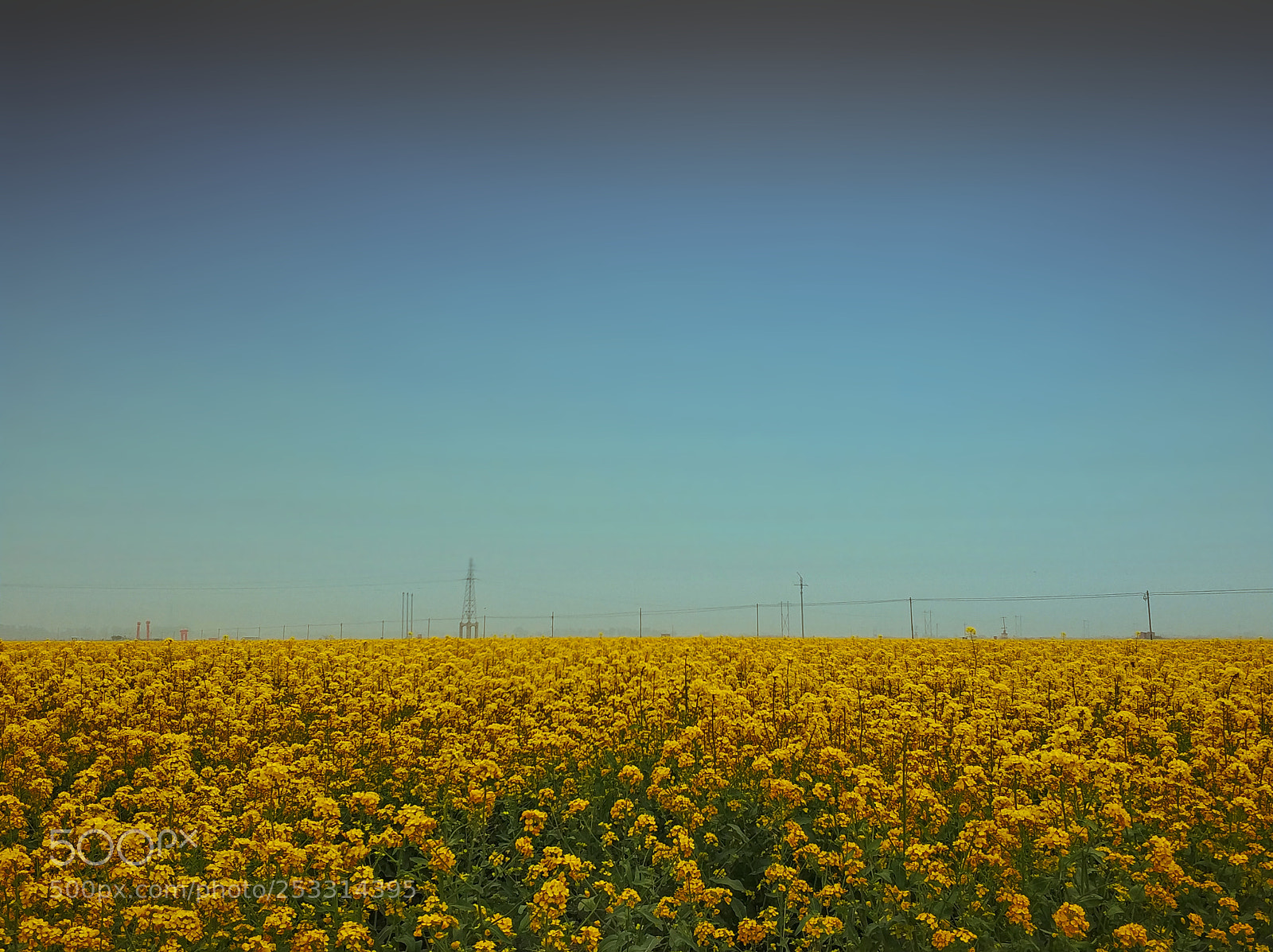 Xiaomi MI6 sample photo. Spring photography
