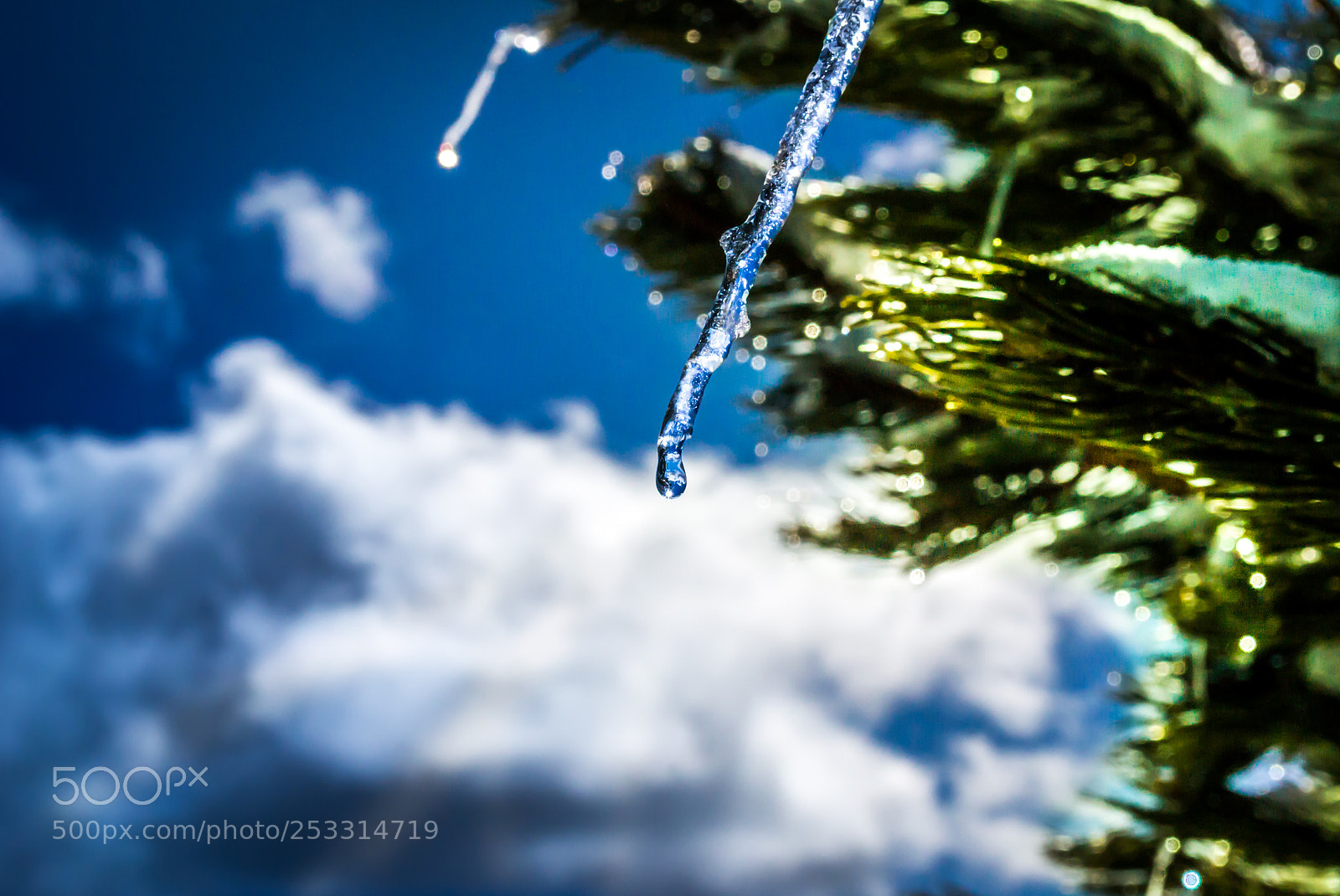 Nikon D3100 sample photo. Estalactita de hielo photography