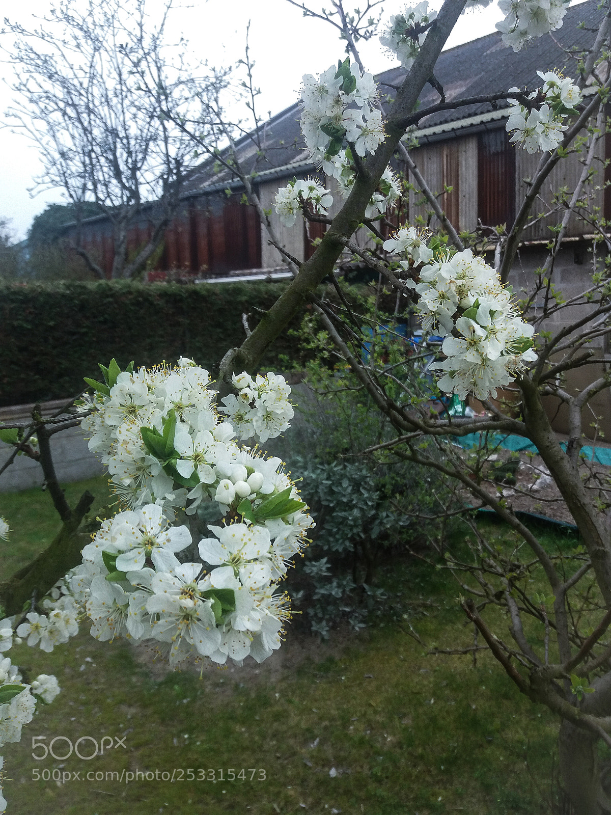 Samsung Galaxy J5(2016) sample photo. Untitled photography