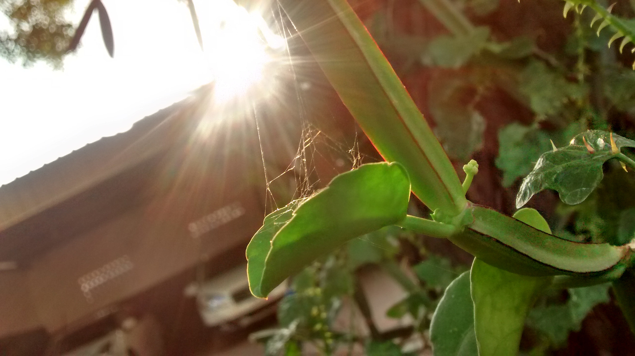 Motorola Moto G (1st Gen) sample photo