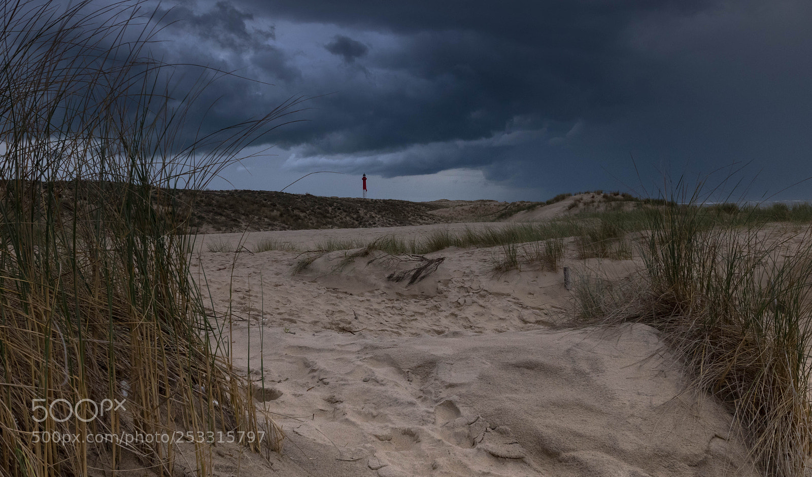 Canon EOS 7D Mark II sample photo. Gros temps photography