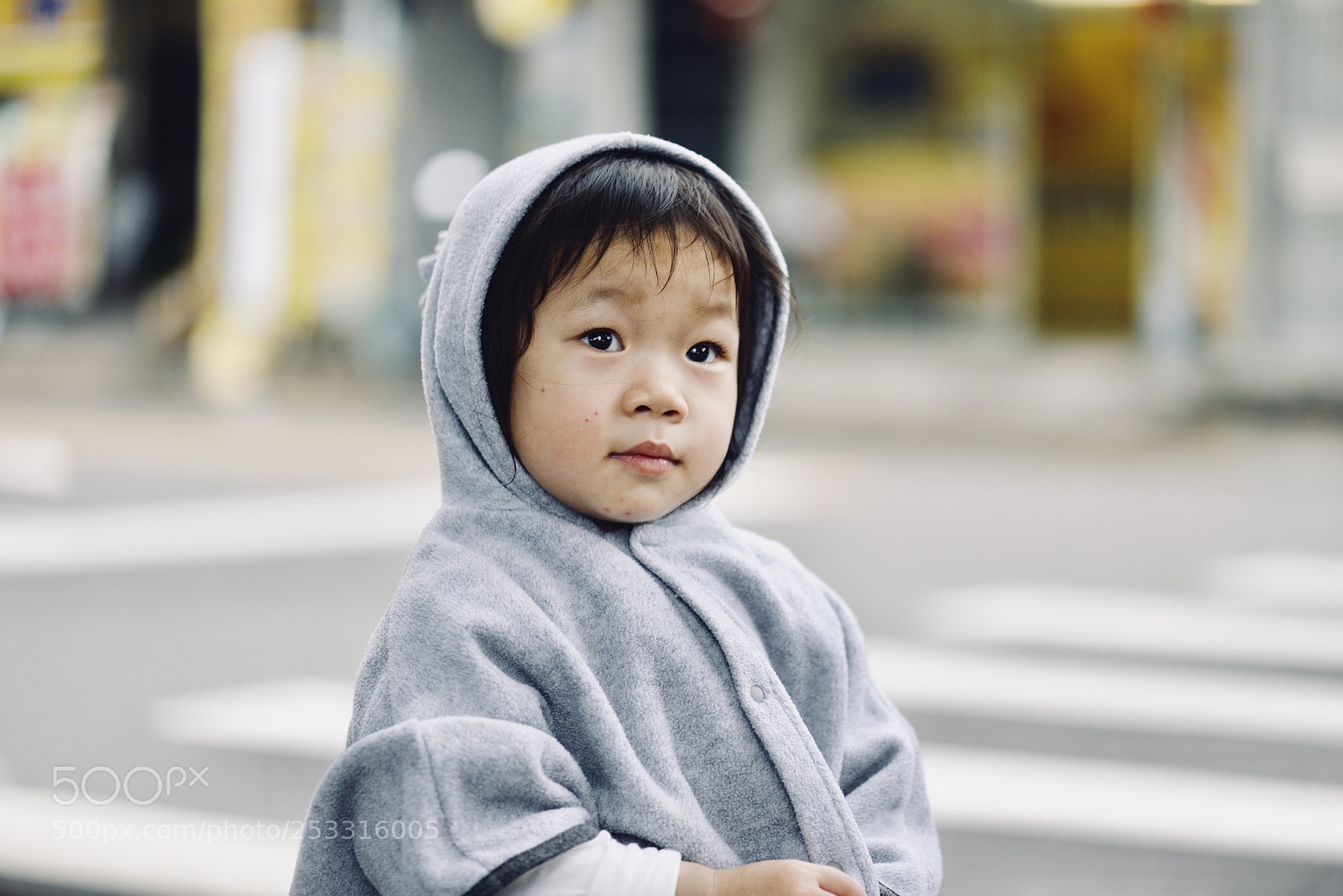 Nikon D800 sample photo. Untitled photography