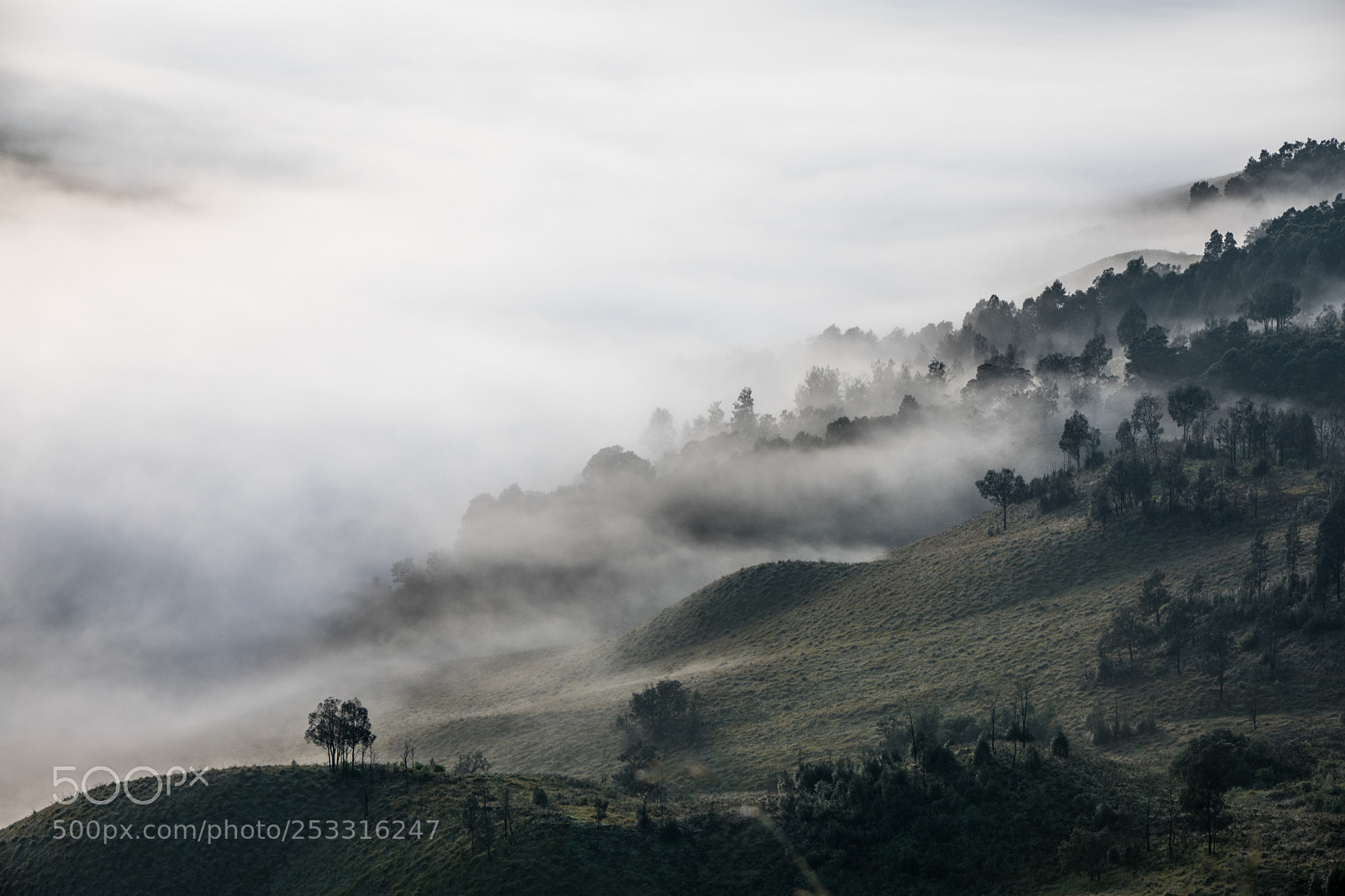 Canon EOS 5D Mark IV sample photo. Foggy morning photography
