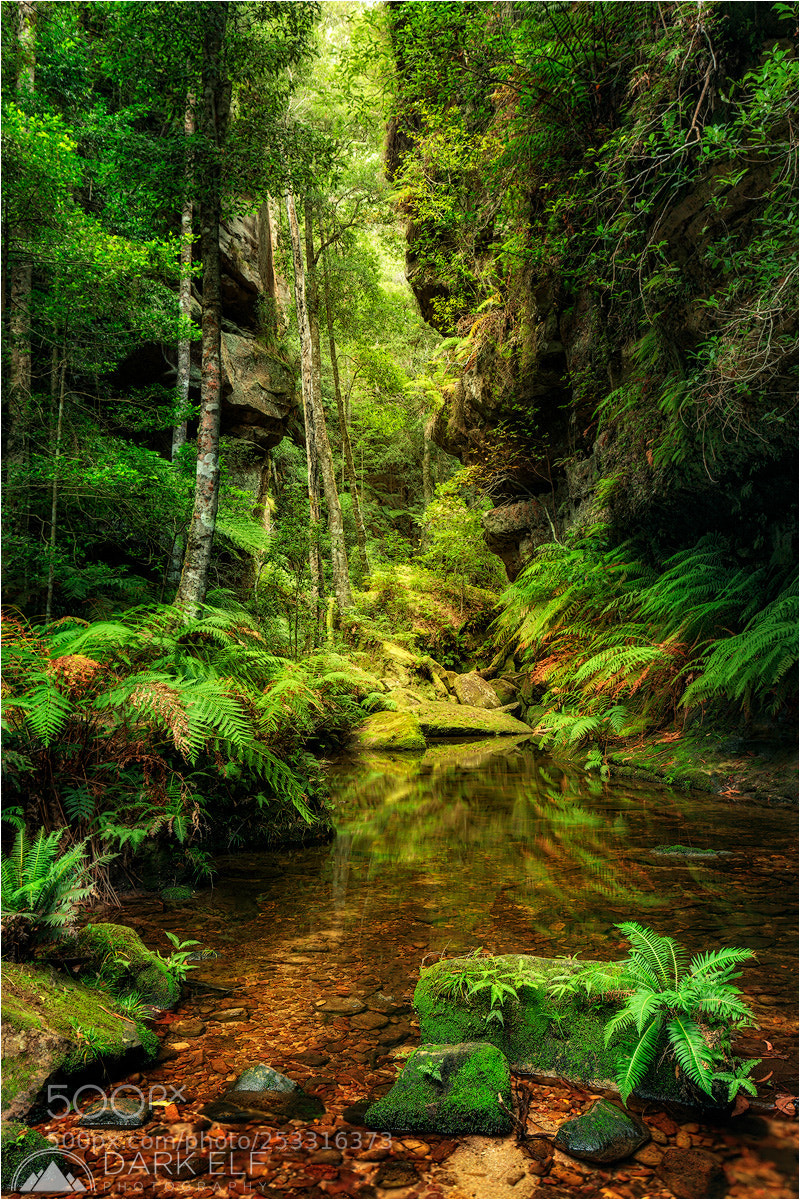 Canon EOS 5D Mark IV sample photo. Deep in the mountains photography
