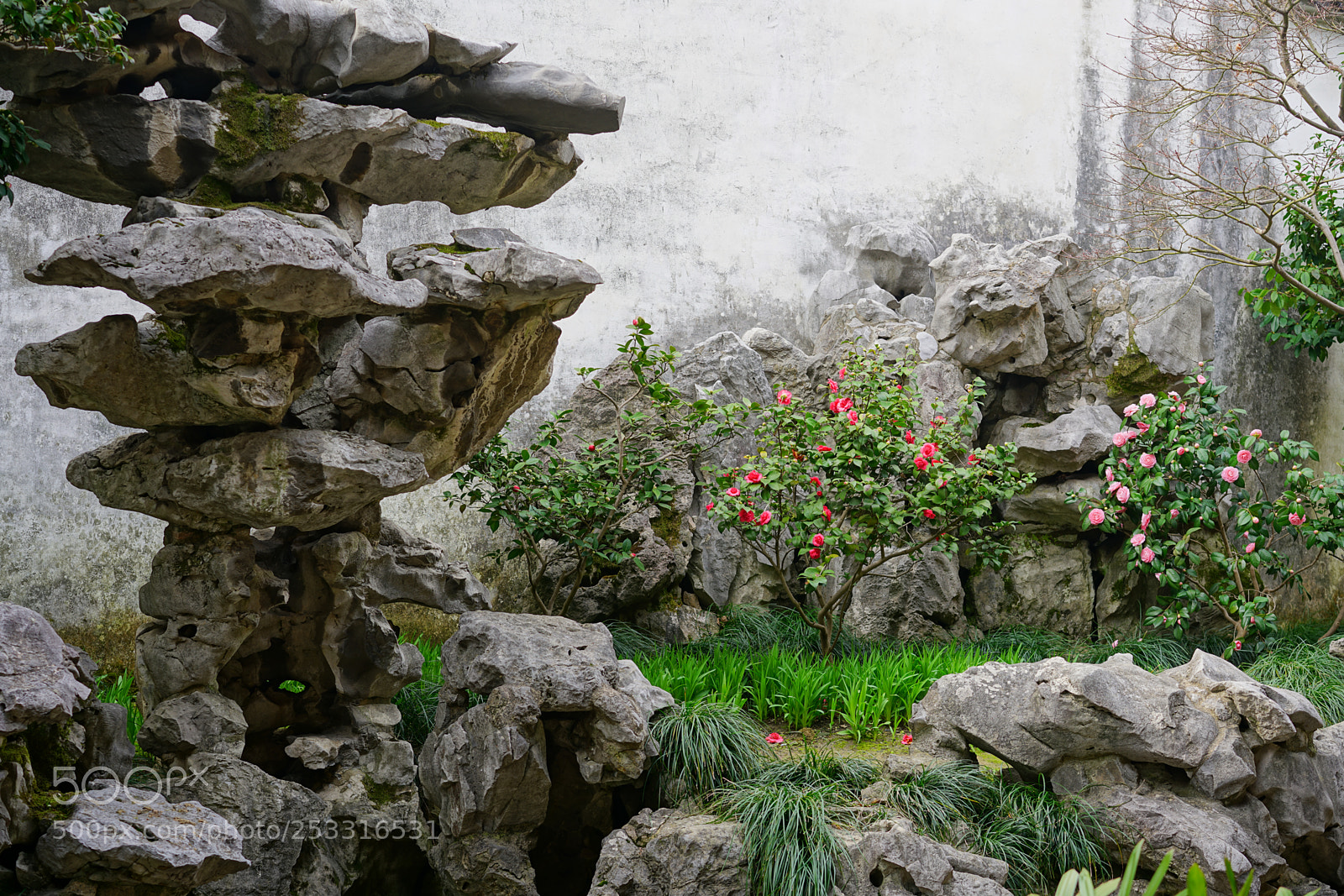 Sony a7R II sample photo. Suzhou, china photography