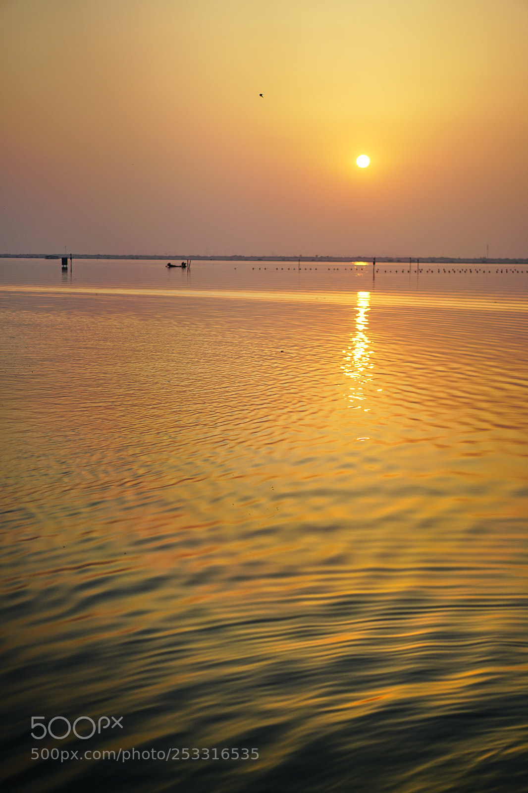 Sony a7R II sample photo. Suzhou, china photography