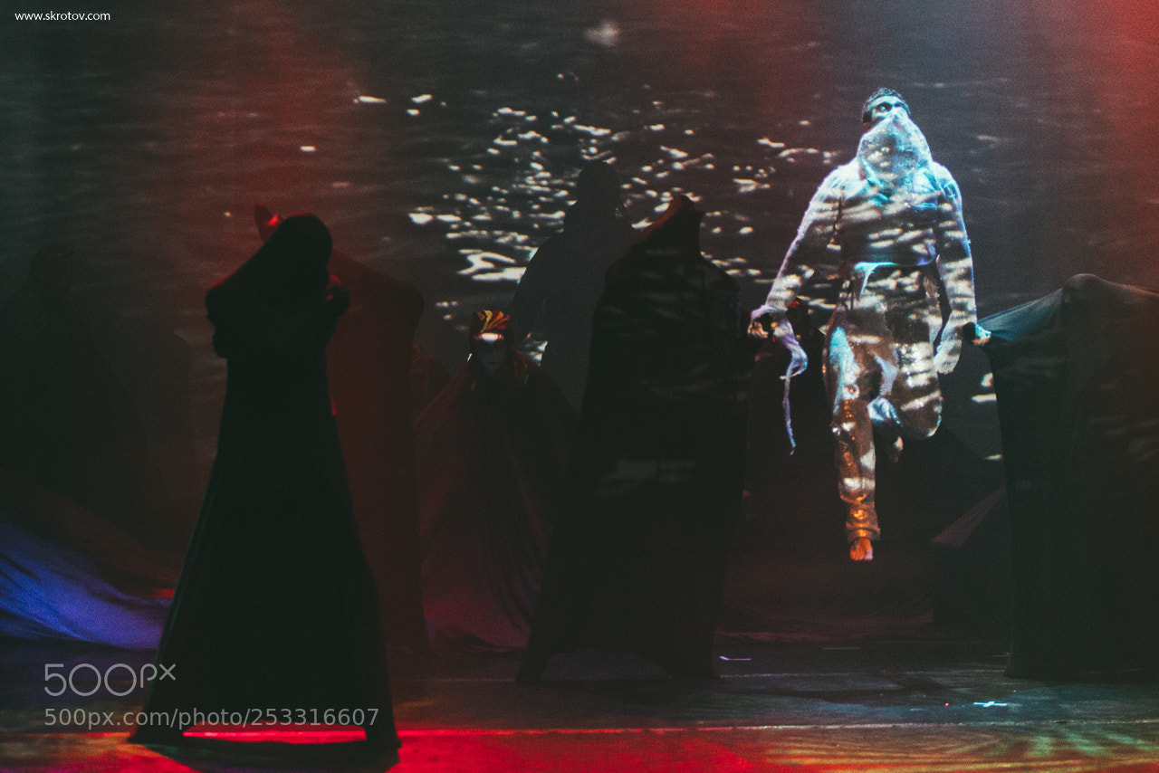 Nikon D800 sample photo. Untitled photography