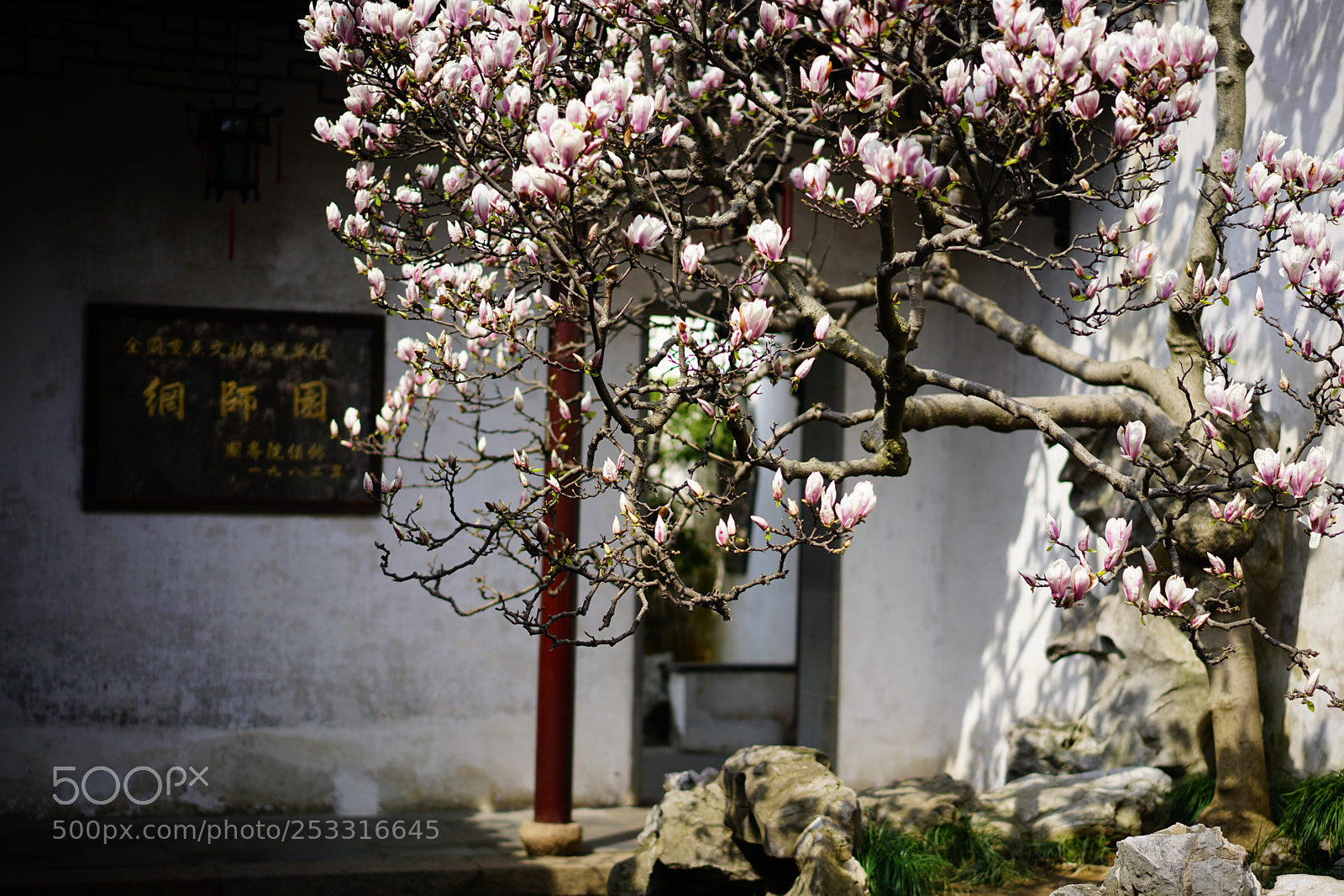 Sony a7R II sample photo. Suzhou, china photography